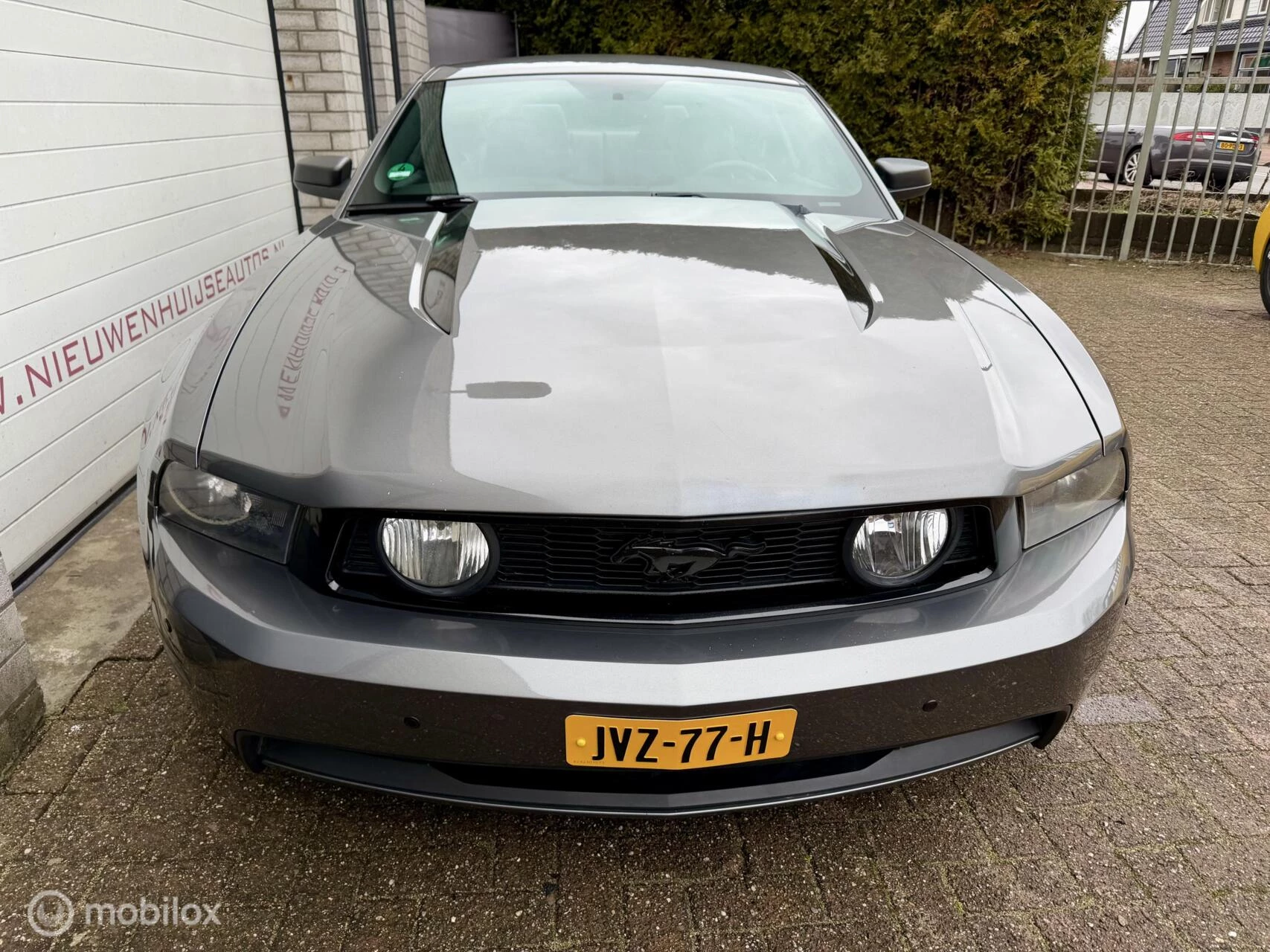 Hoofdafbeelding Ford Mustang