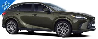 Lexus RX 450h+ Plug-in Hybrid President Line SNEL LEVERBAAR PANODAK MARK LEVINSON STOELVENT STUURVERW 360 CAMERA​
