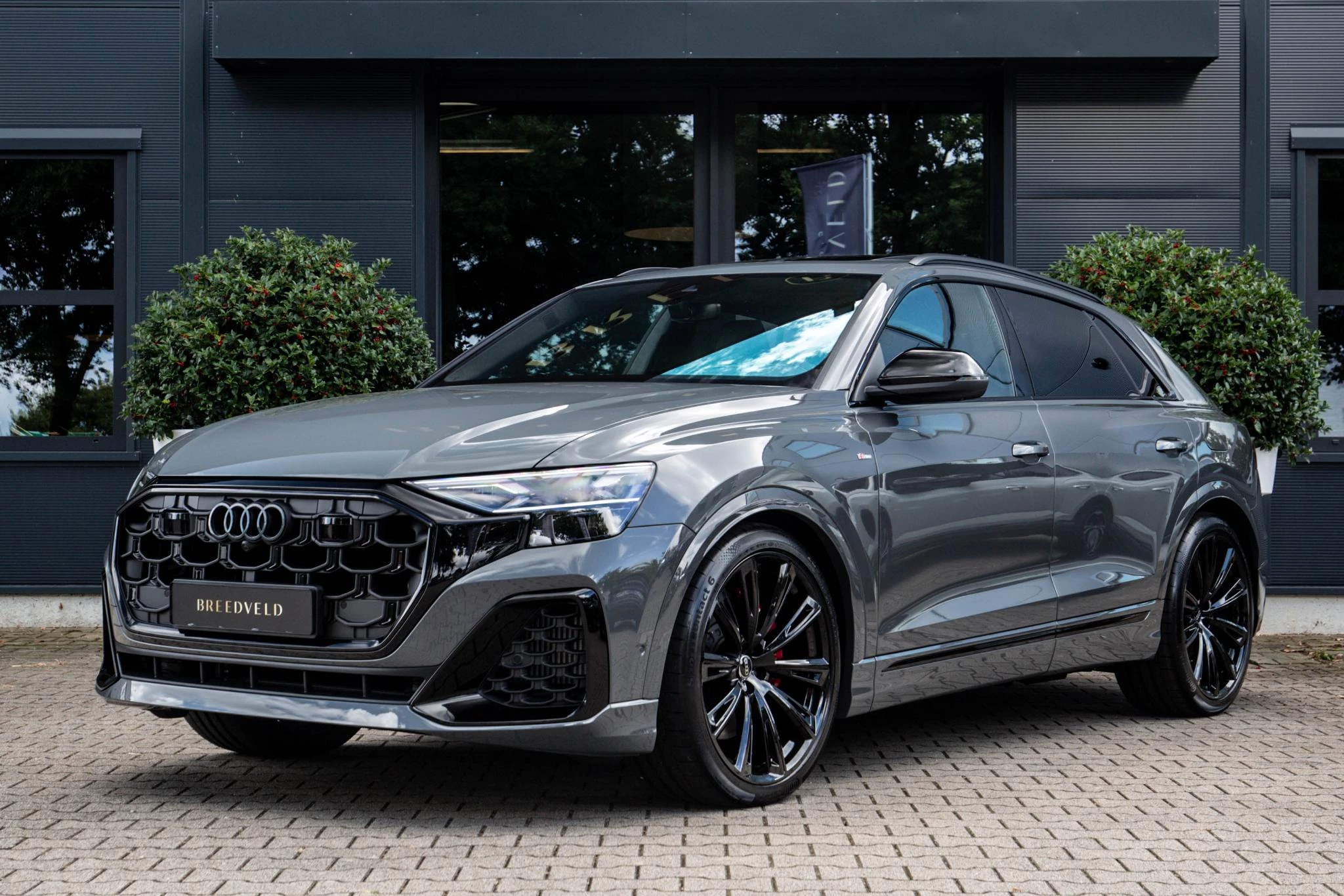 Hoofdafbeelding Audi Q8
