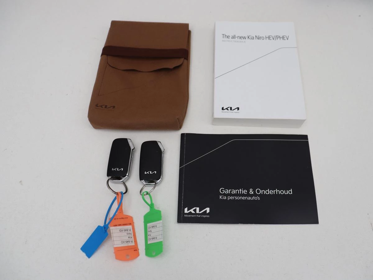 Hoofdafbeelding Kia Niro