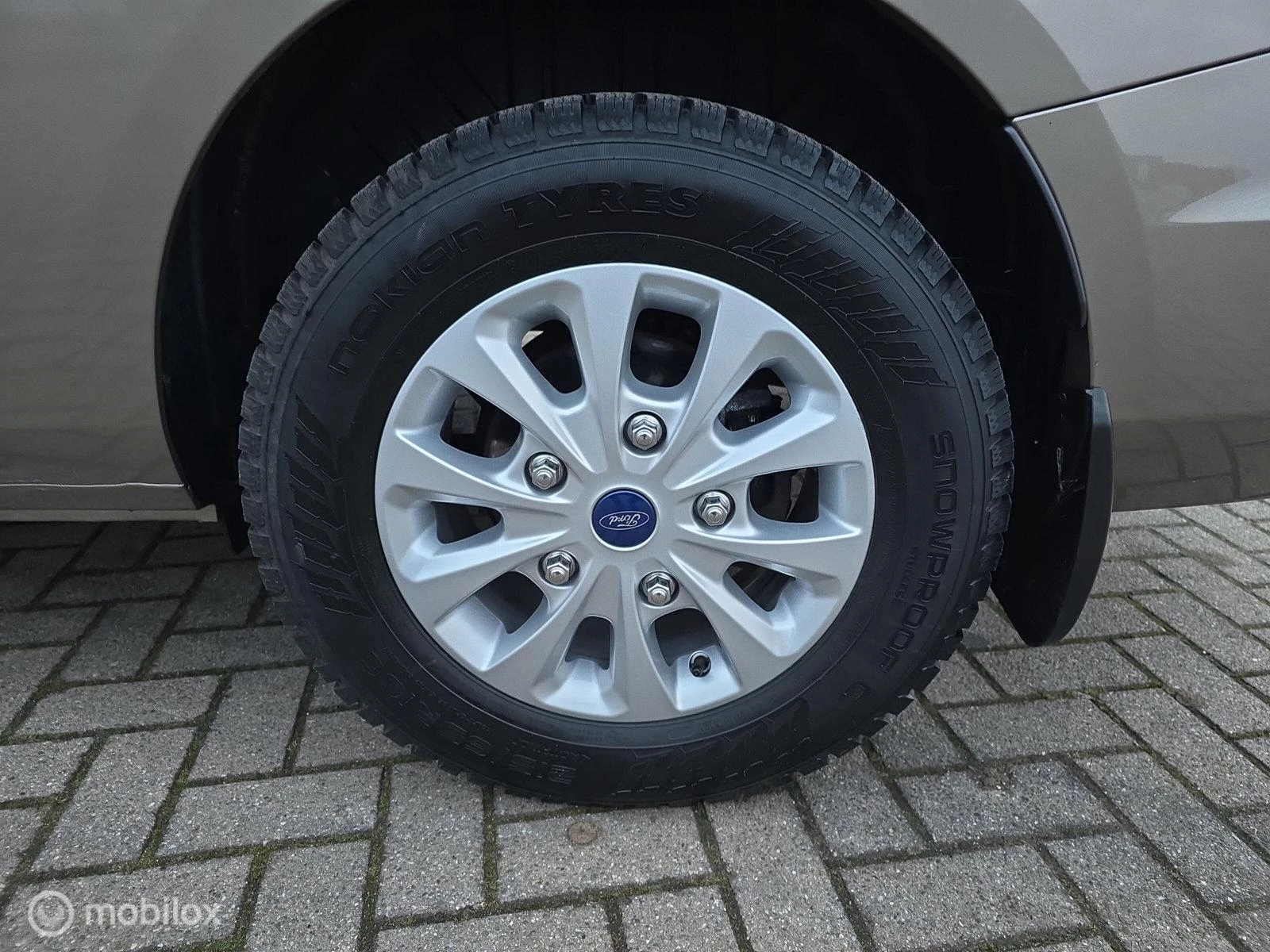 Hoofdafbeelding Ford Nugget