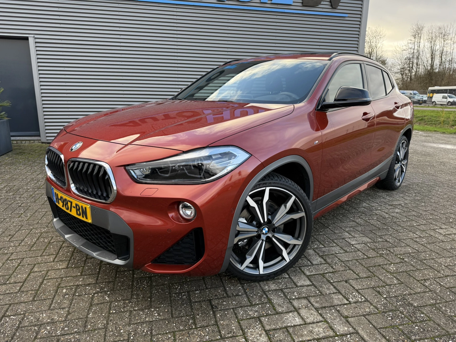 Hoofdafbeelding BMW X2