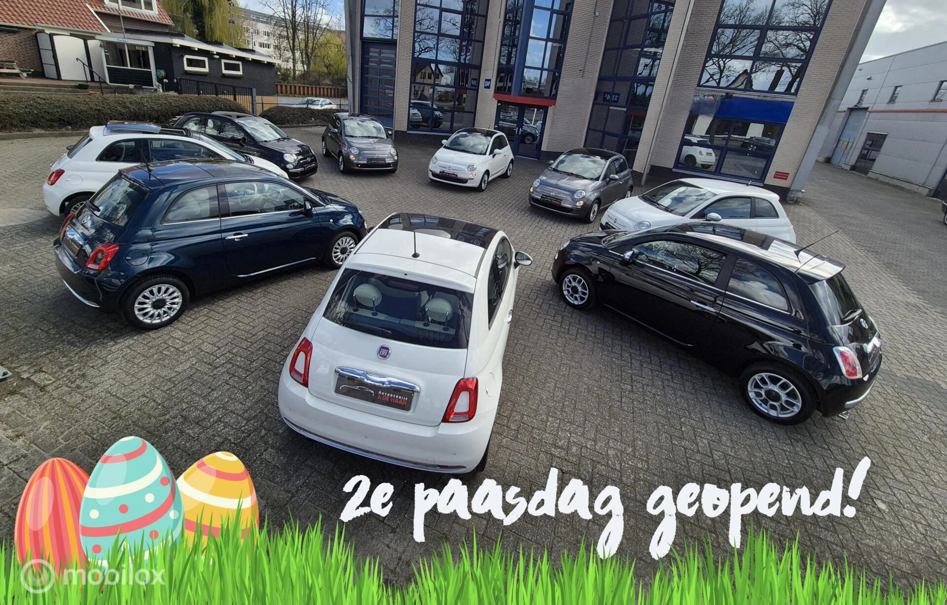 Hoofdafbeelding Fiat 500