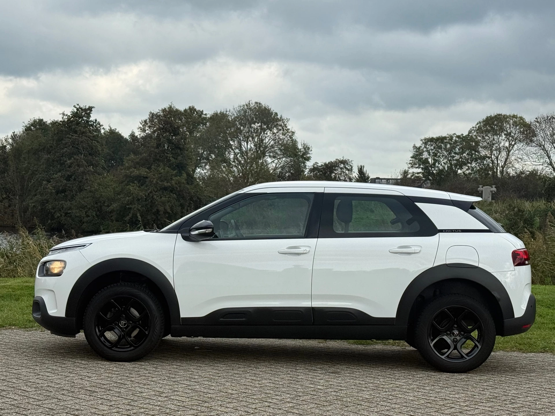 Hoofdafbeelding Citroën C4 Cactus