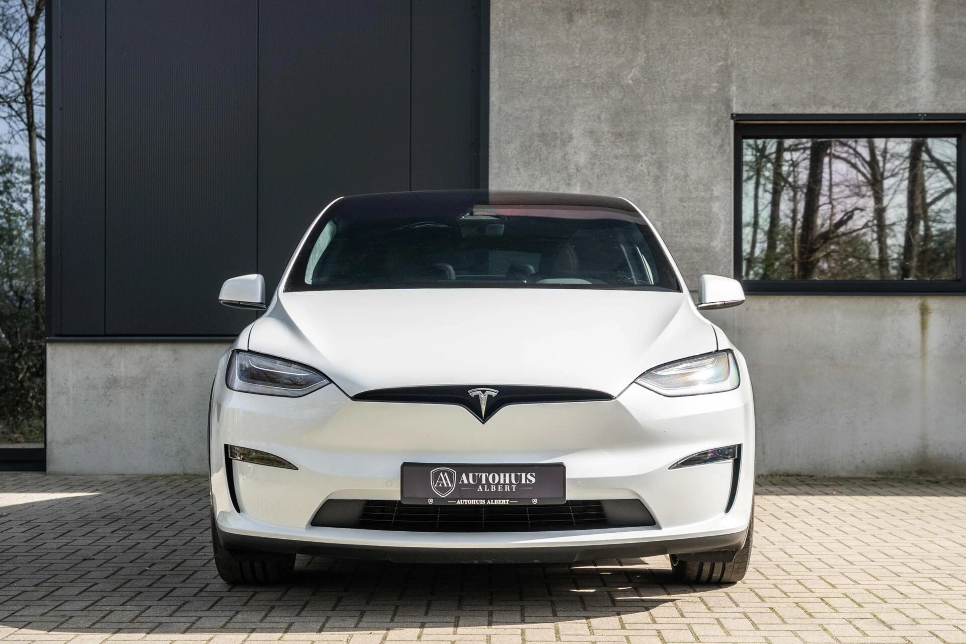 Hoofdafbeelding Tesla Model X