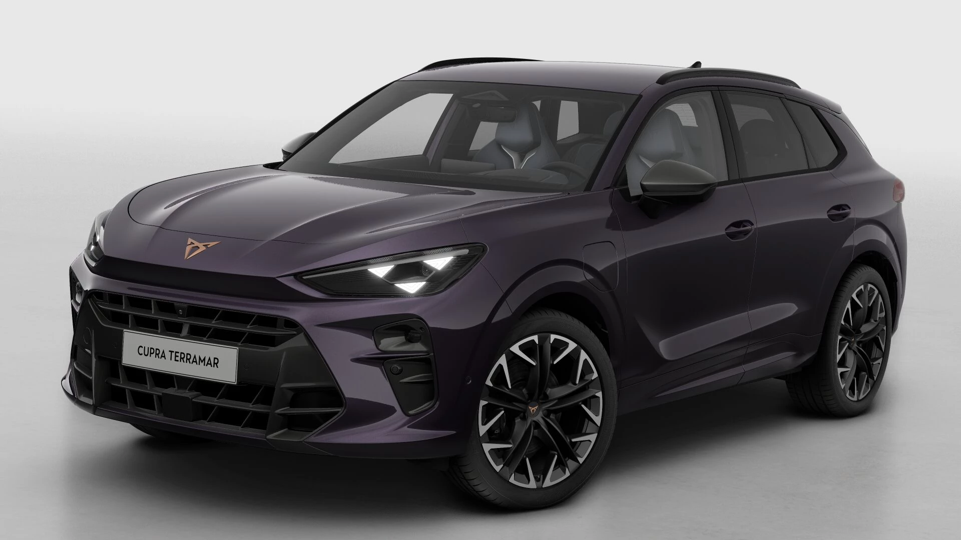 Hoofdafbeelding CUPRA Terramar