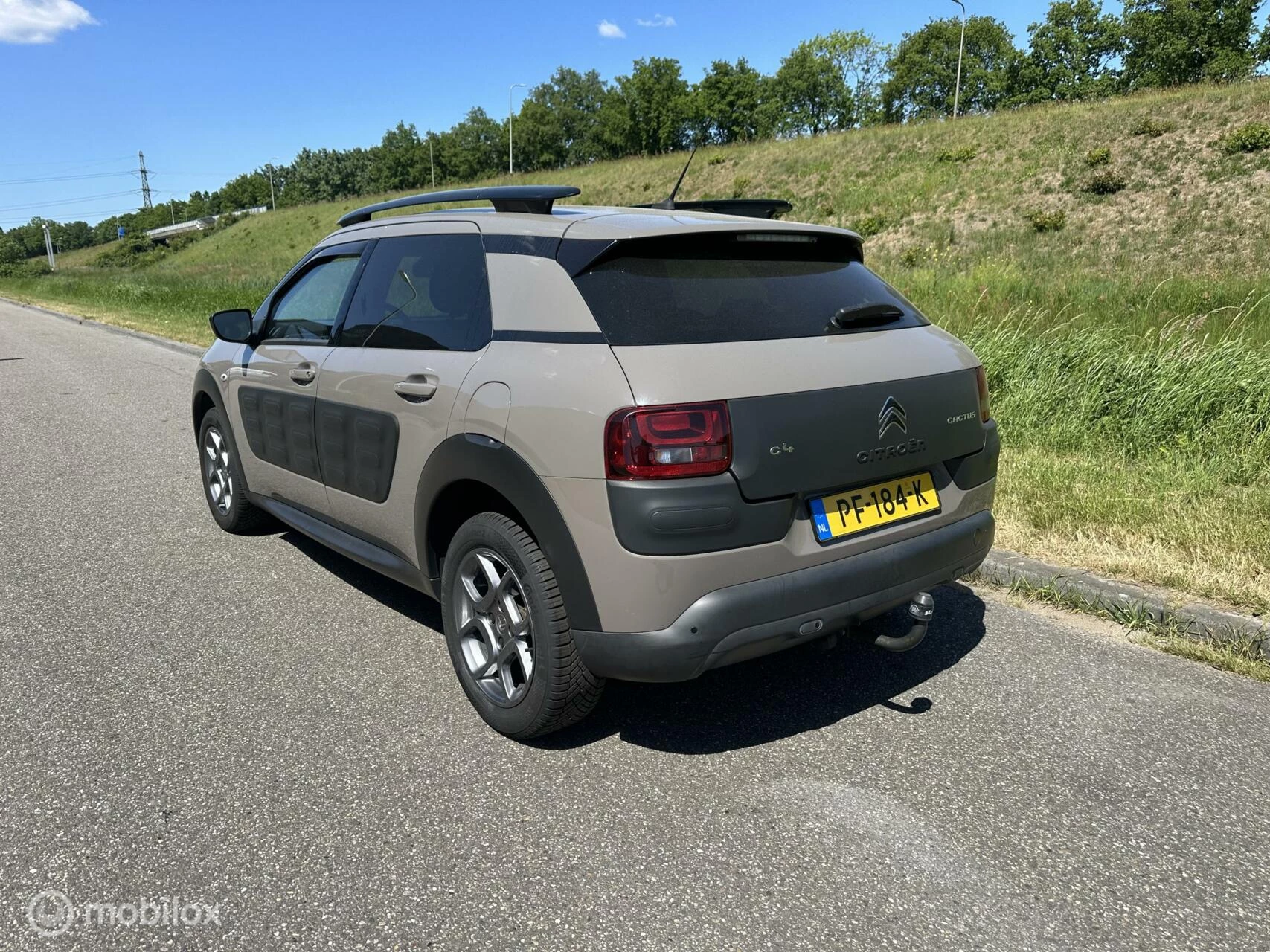 Hoofdafbeelding Citroën C4 Cactus