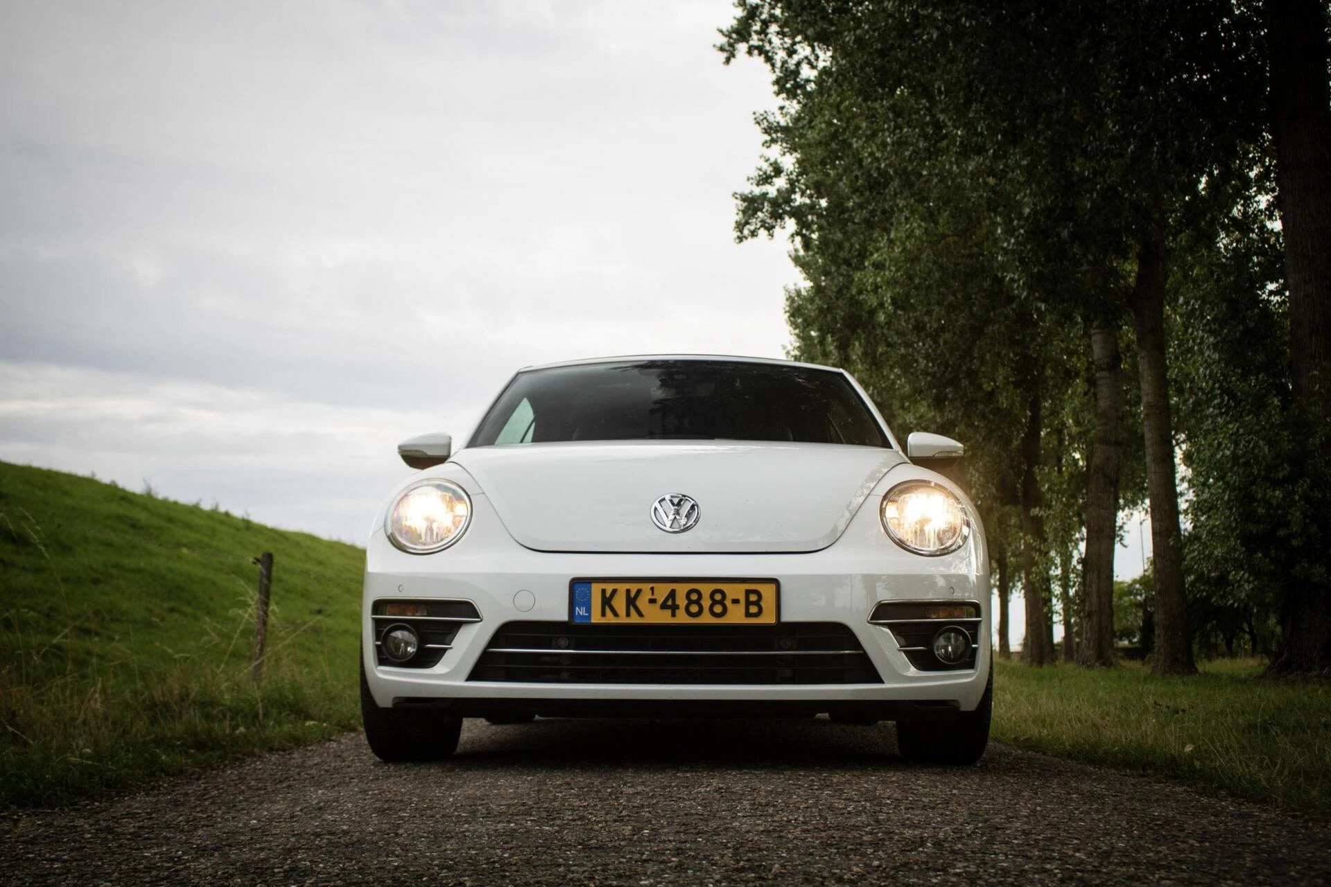 Hoofdafbeelding Volkswagen Beetle