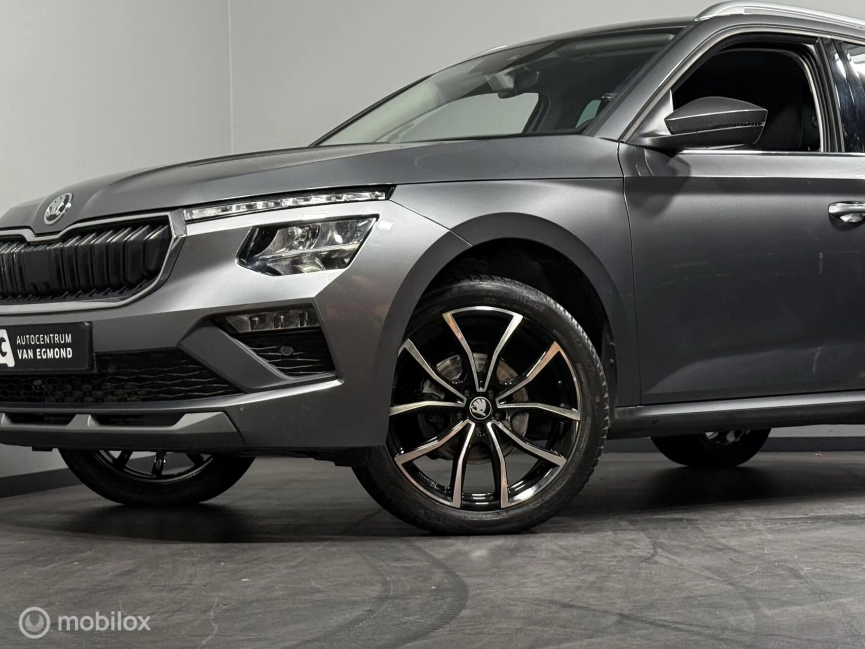 Hoofdafbeelding Škoda Kamiq