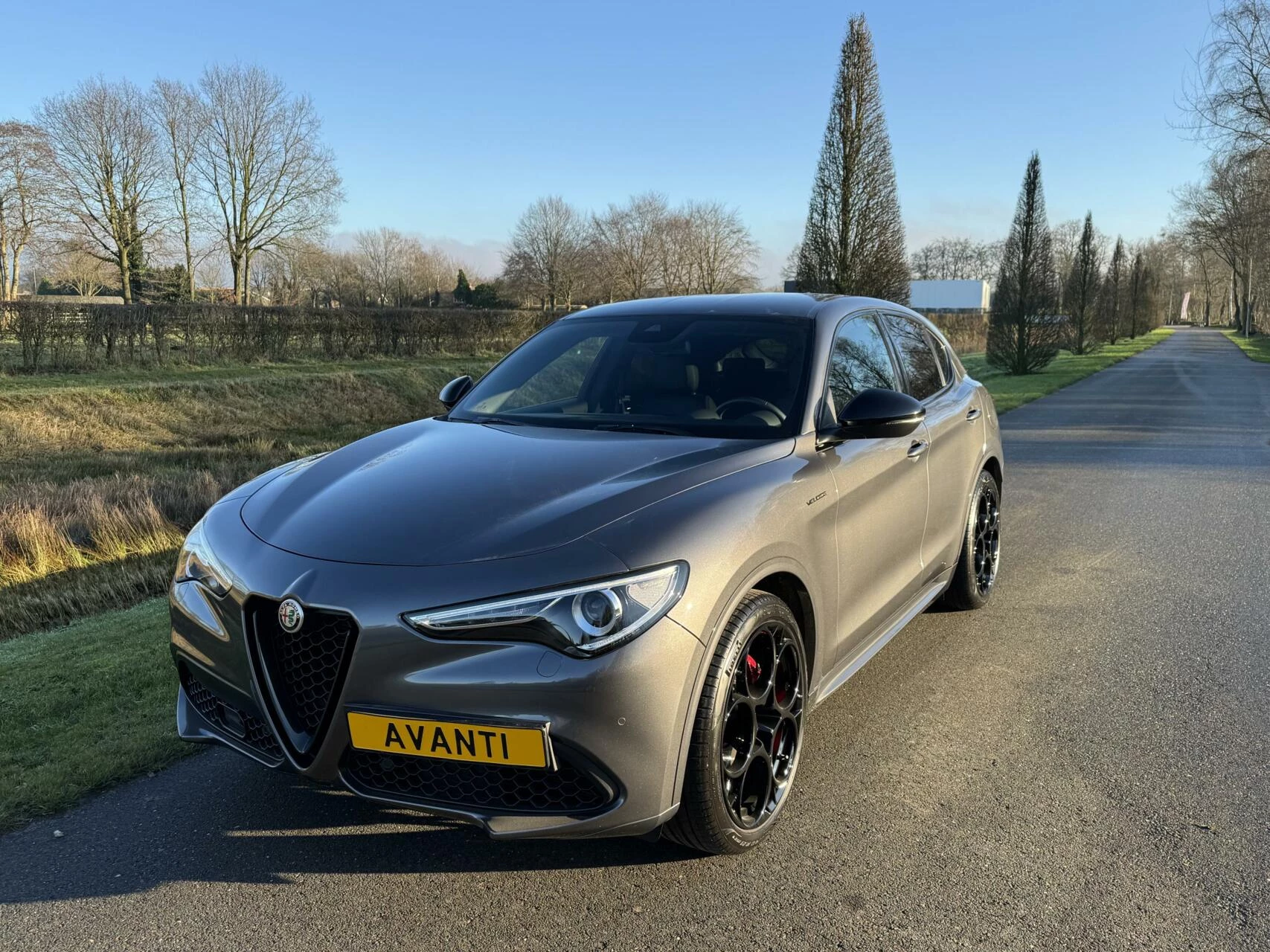 Hoofdafbeelding Alfa Romeo Stelvio