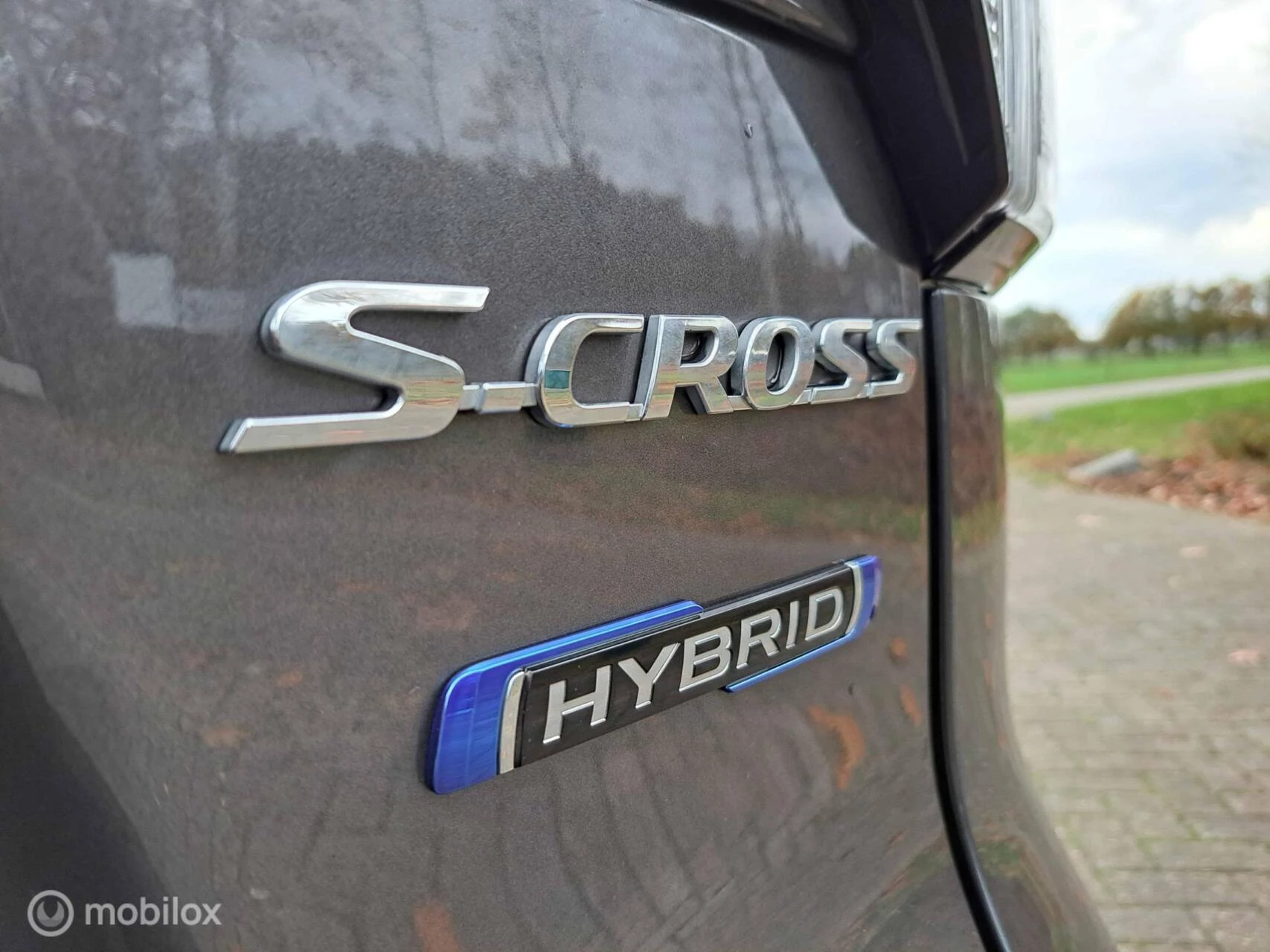Hoofdafbeelding Suzuki S-Cross
