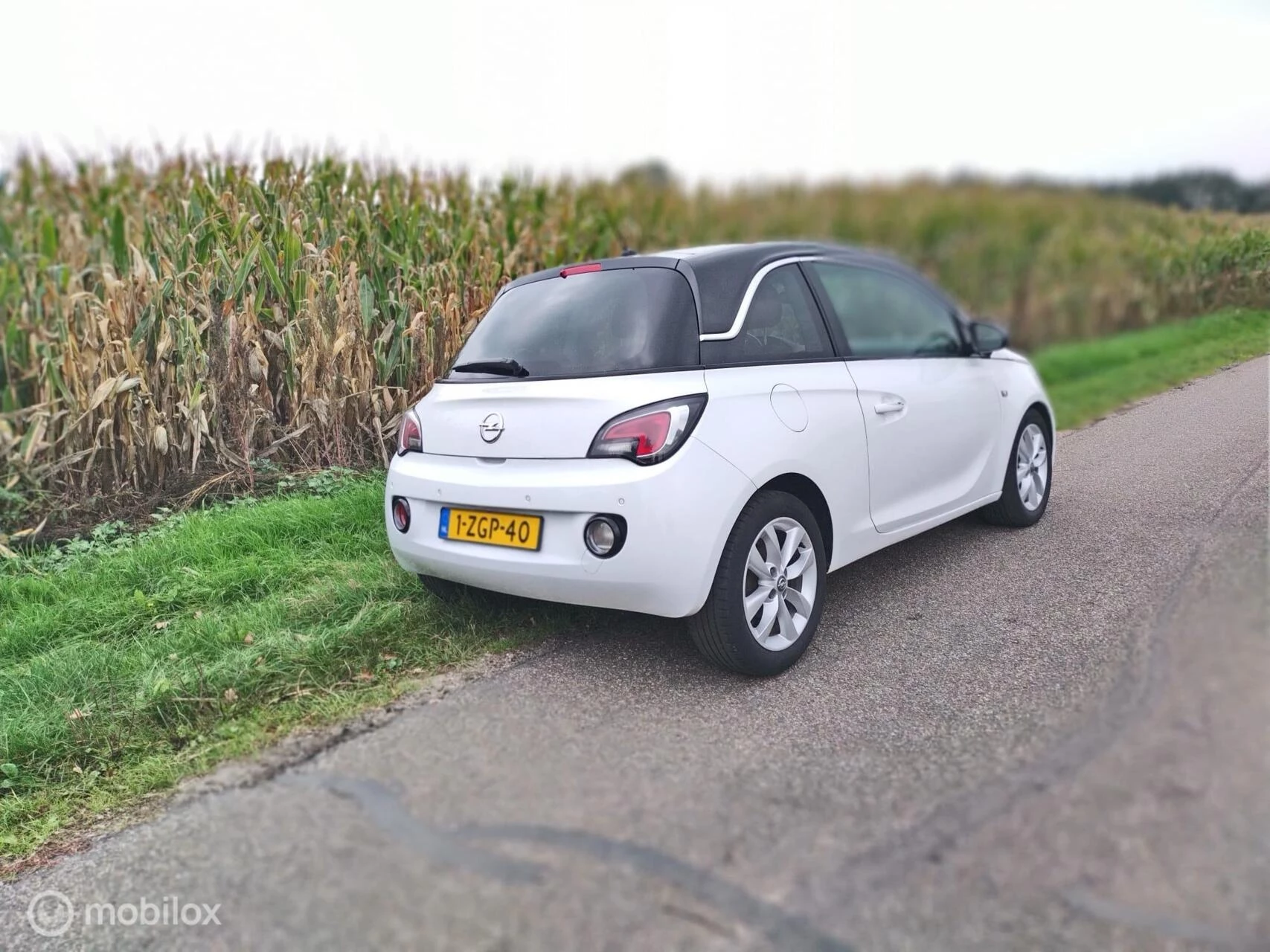 Hoofdafbeelding Opel ADAM