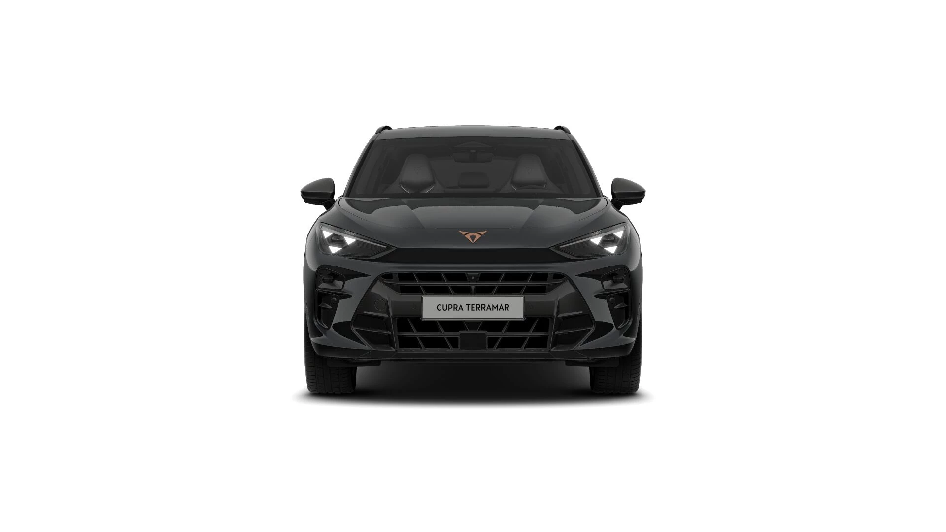 Hoofdafbeelding CUPRA Terramar