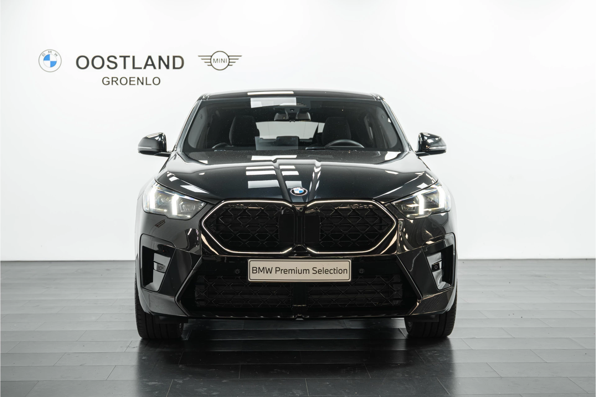 Hoofdafbeelding BMW X2