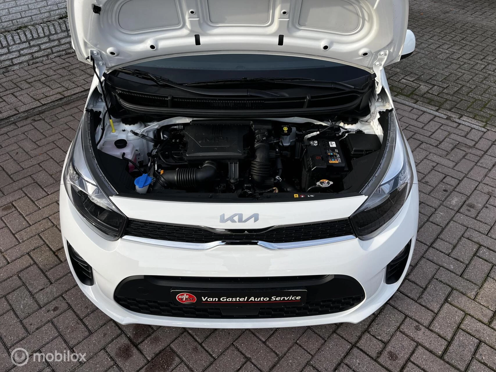 Hoofdafbeelding Kia Picanto