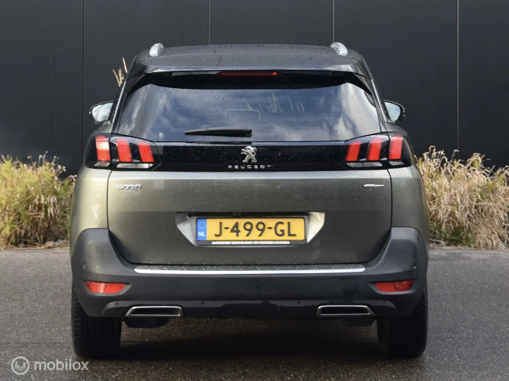 Hoofdafbeelding Peugeot 5008