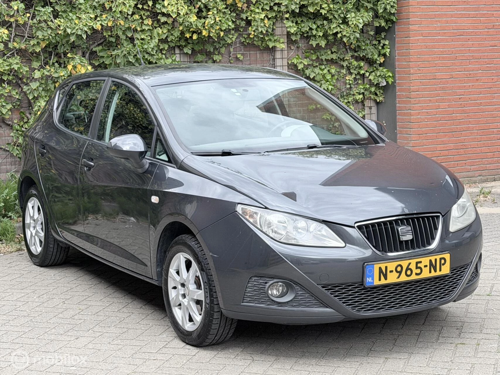 Hoofdafbeelding SEAT Ibiza