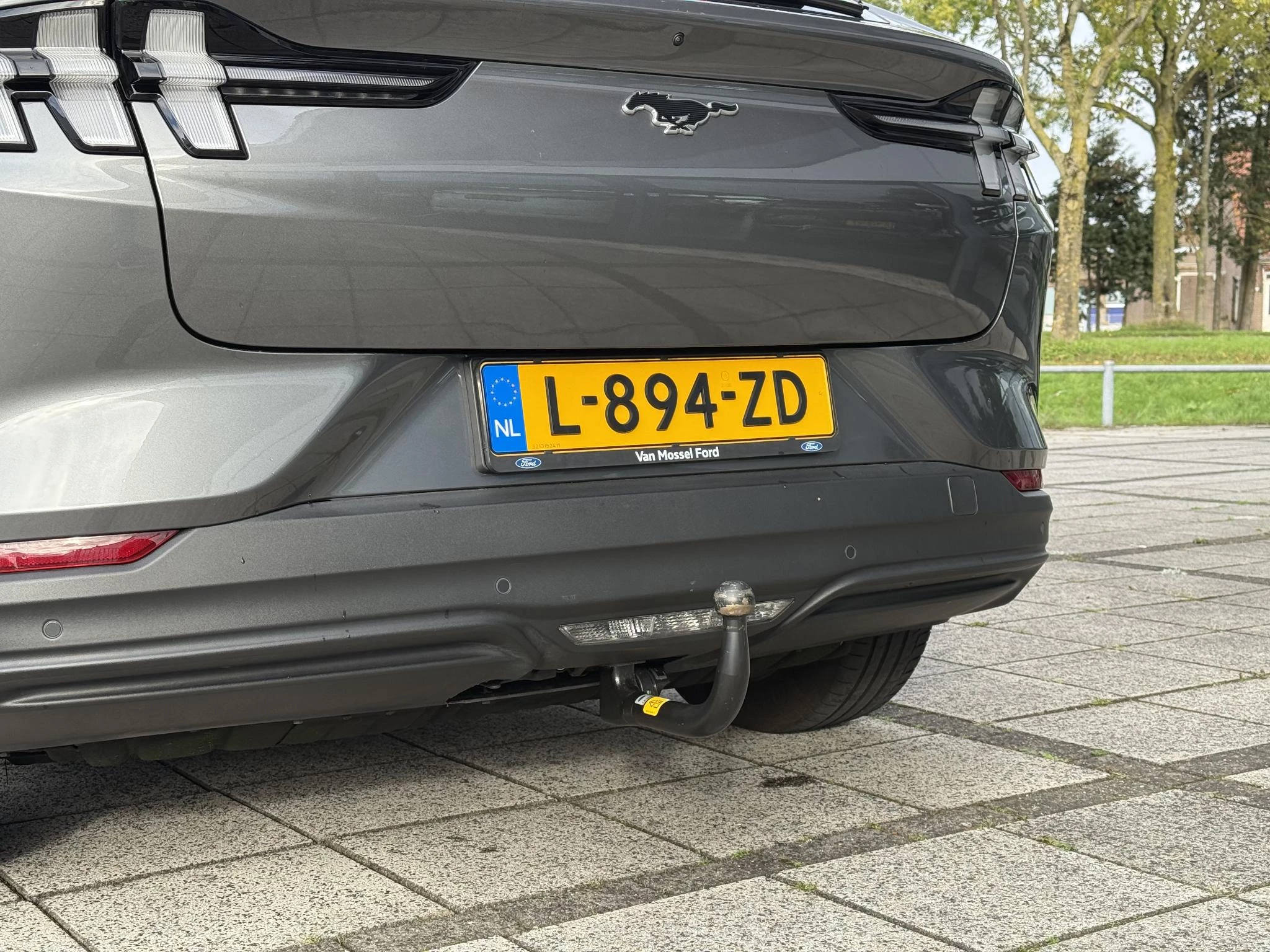 Hoofdafbeelding Ford Mustang Mach-E