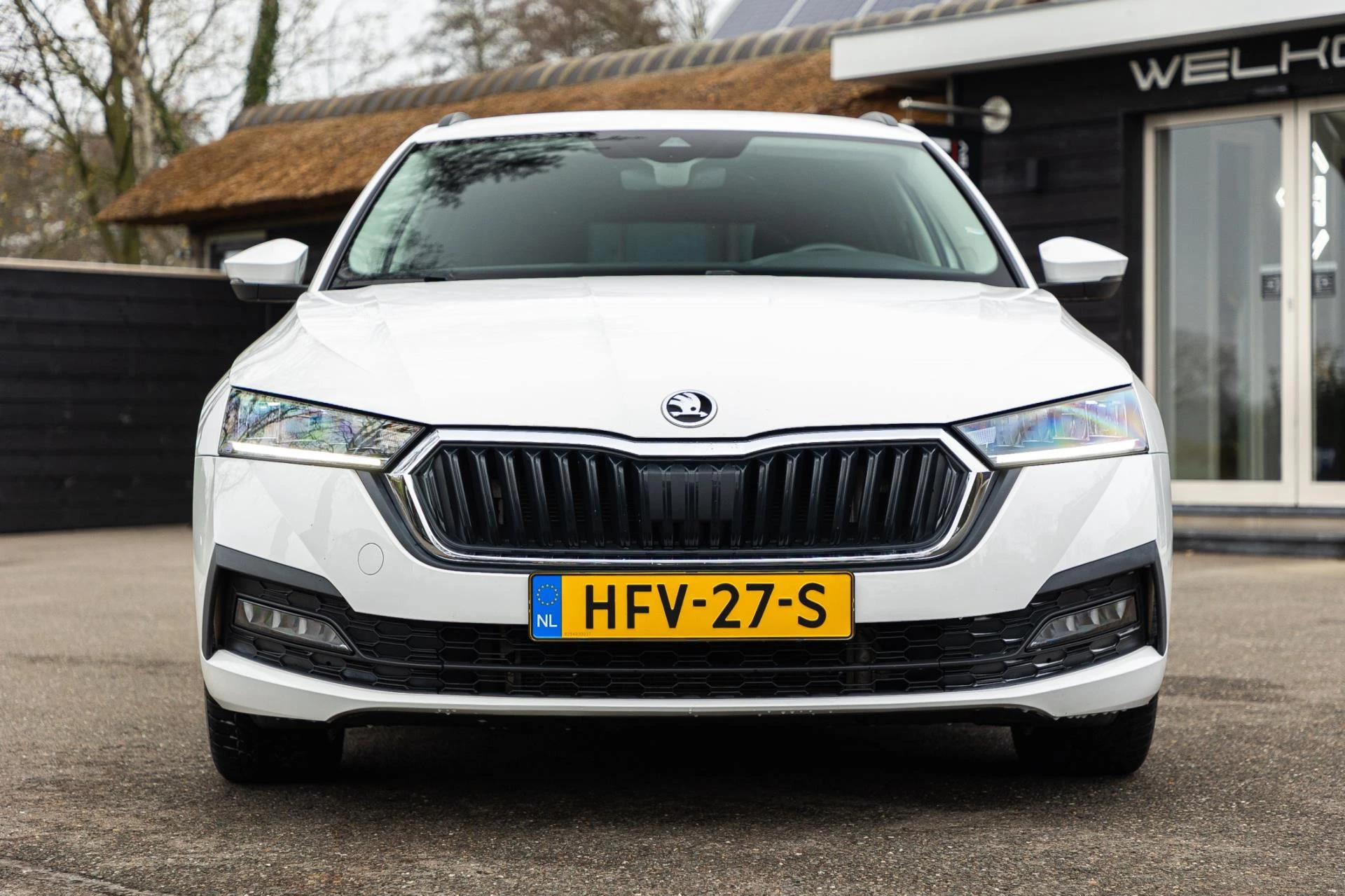 Hoofdafbeelding Škoda Octavia