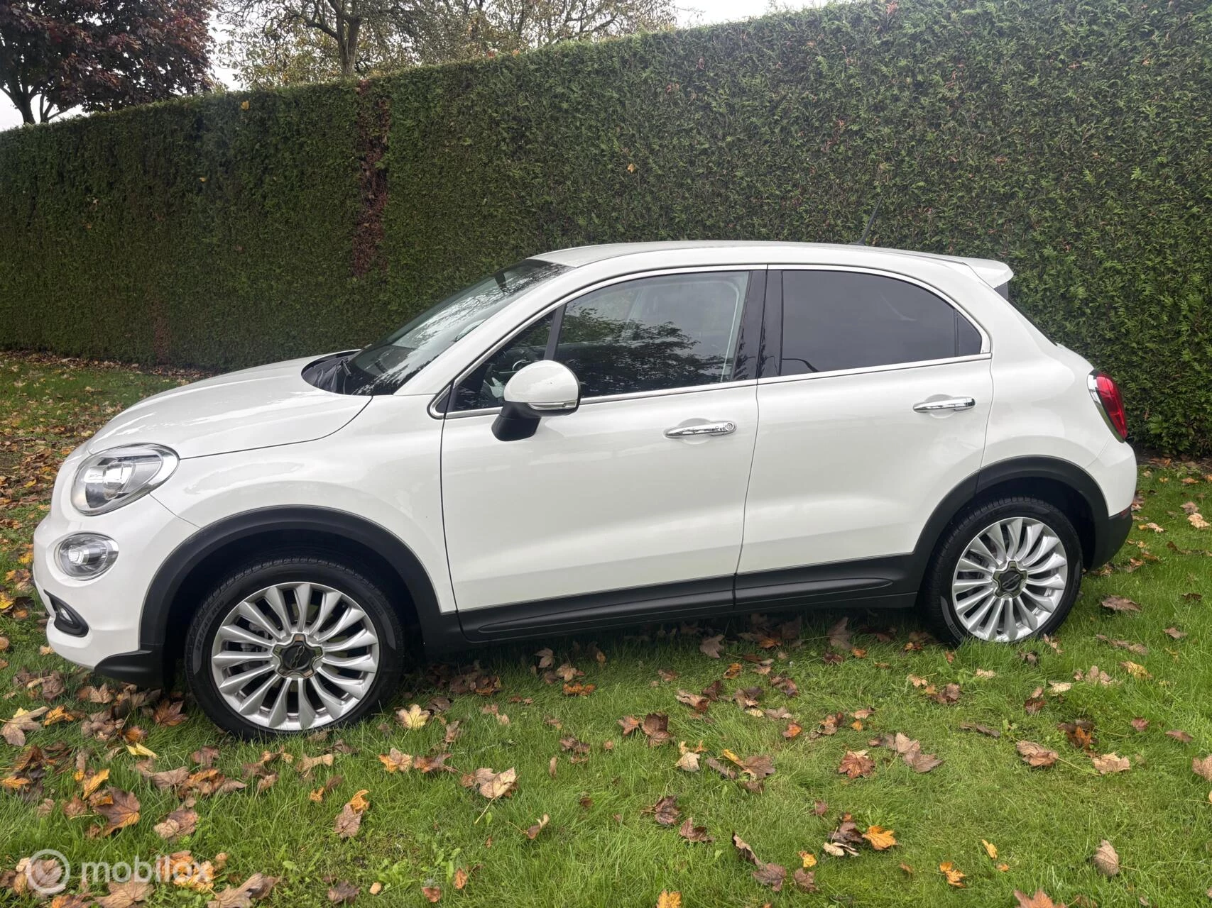 Hoofdafbeelding Fiat 500X