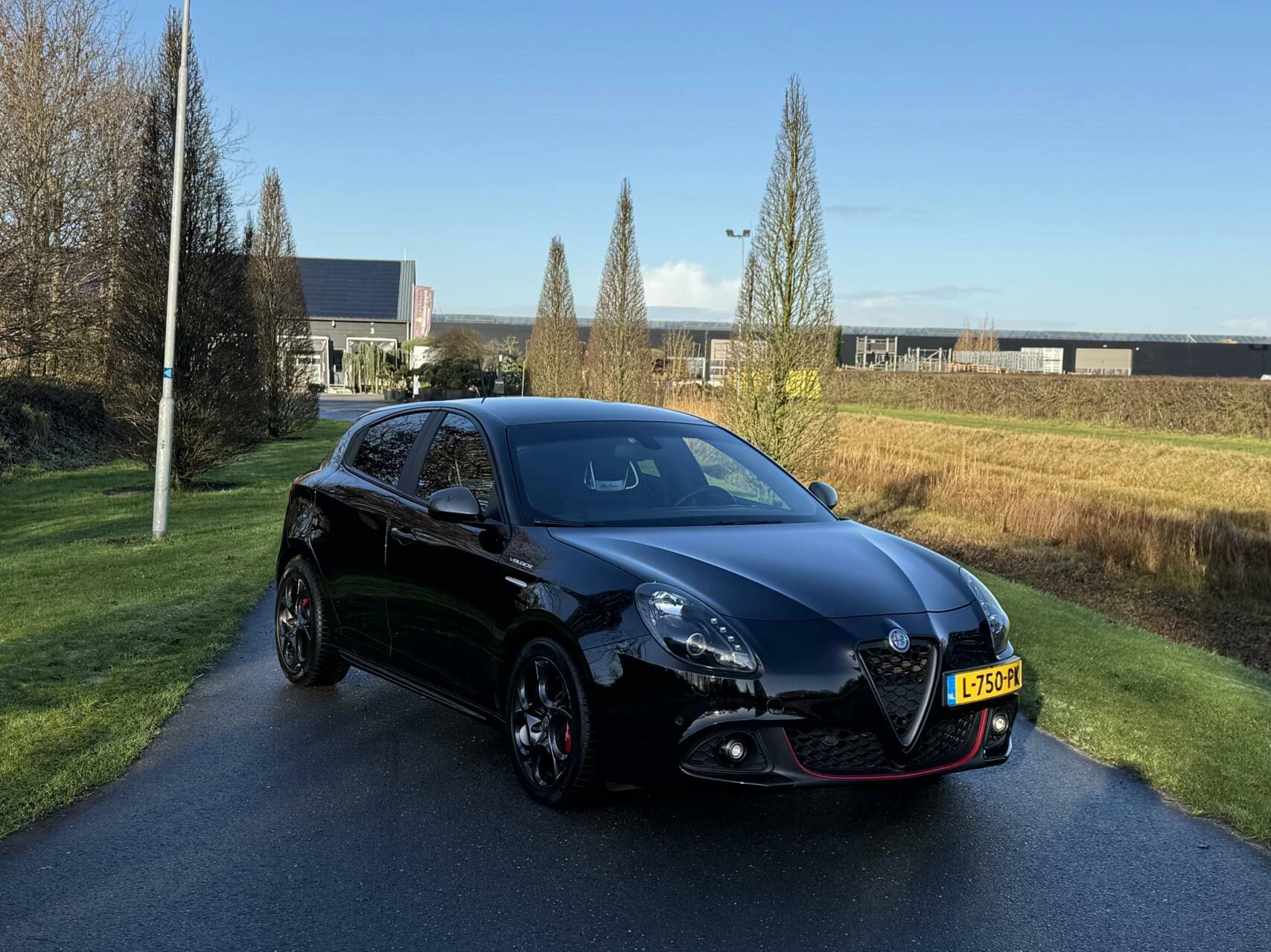 Hoofdafbeelding Alfa Romeo Giulietta