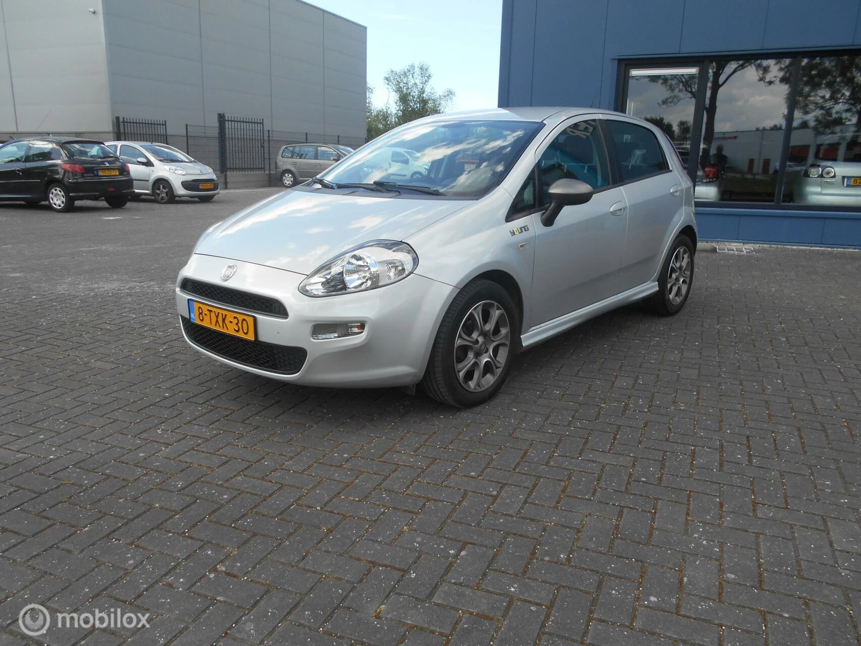 Hoofdafbeelding Fiat Punto