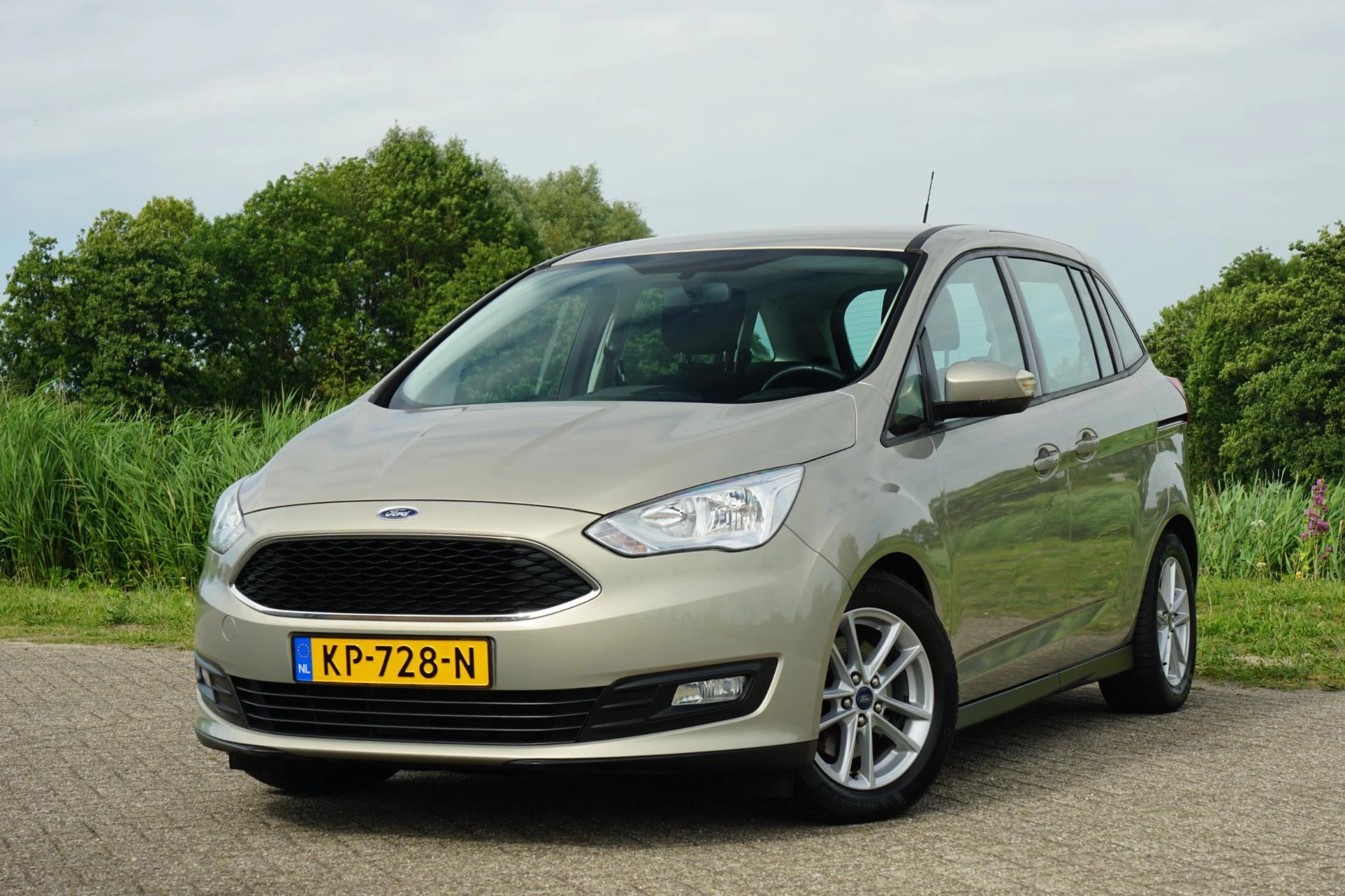 Hoofdafbeelding Ford Grand C-Max