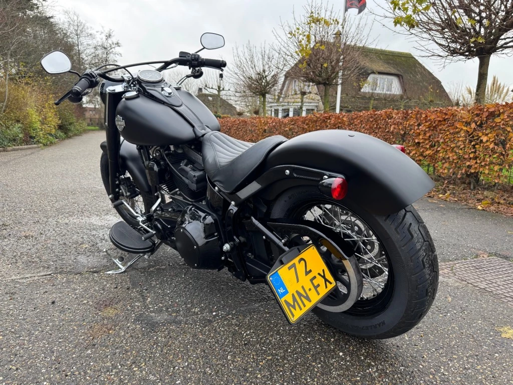 Hoofdafbeelding Harley-Davidson Softail