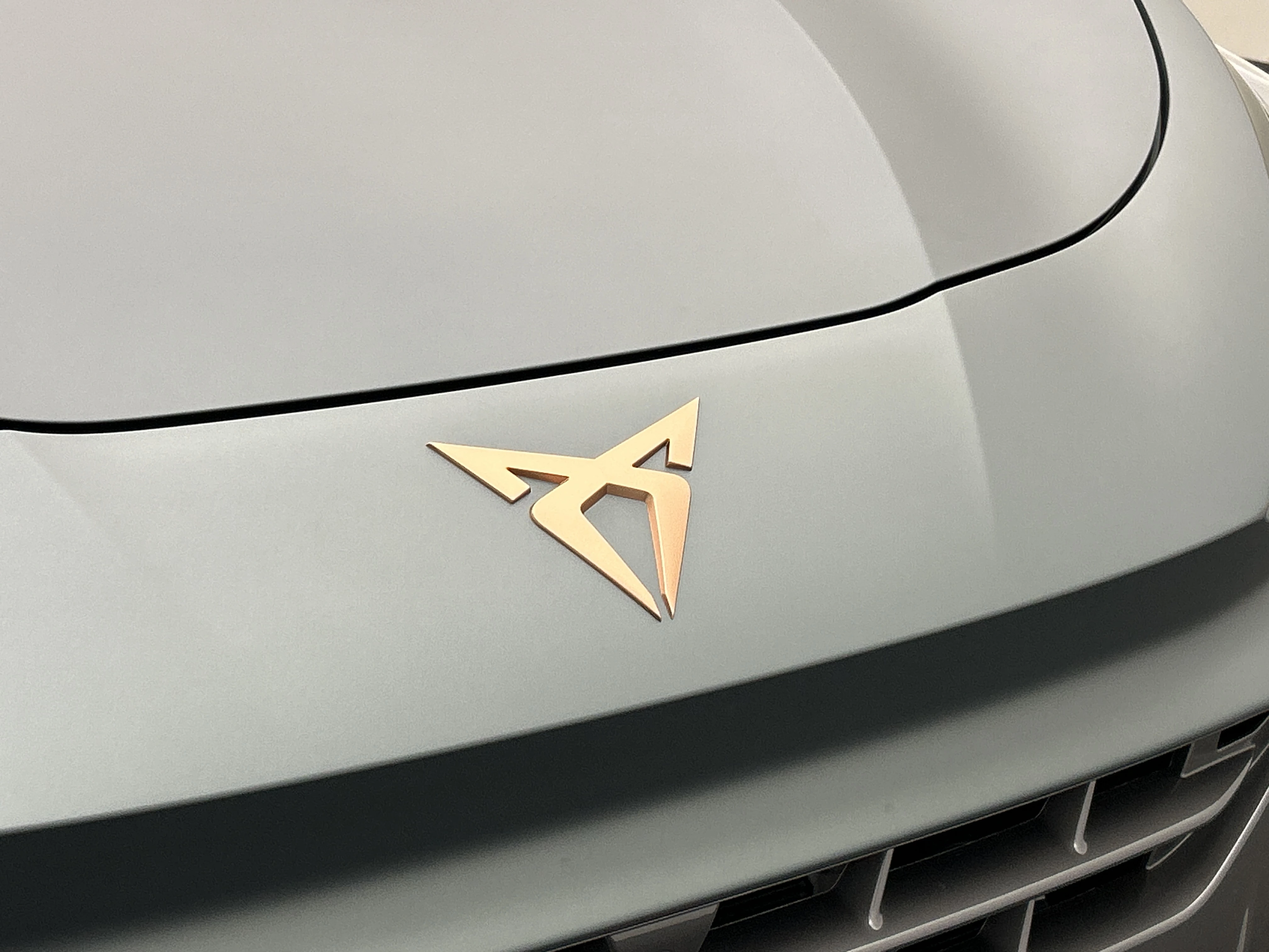 Hoofdafbeelding CUPRA Terramar