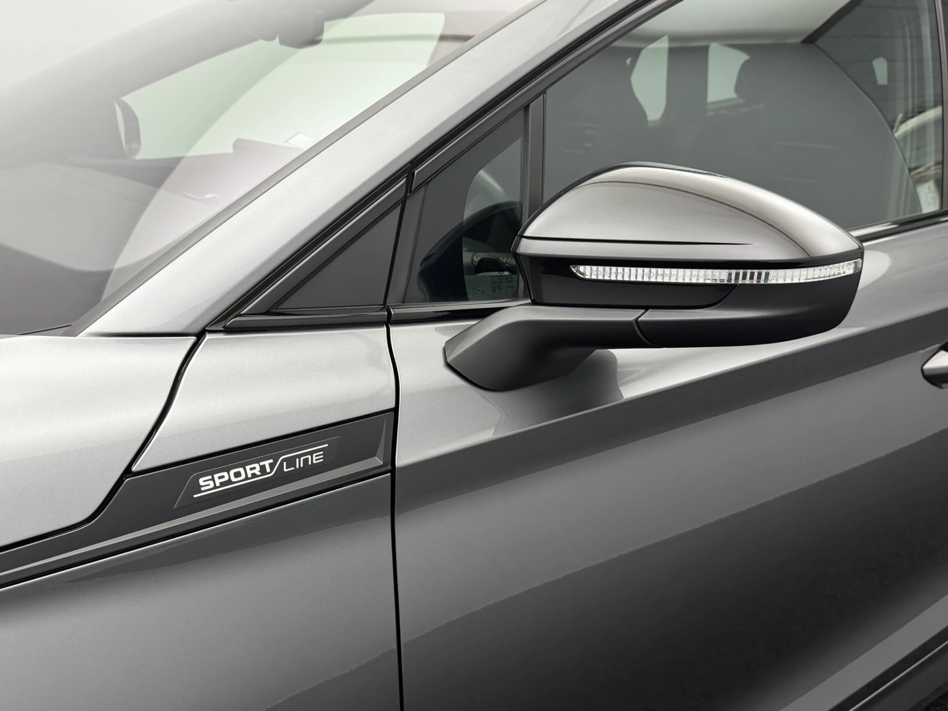 Hoofdafbeelding Škoda Enyaq iV