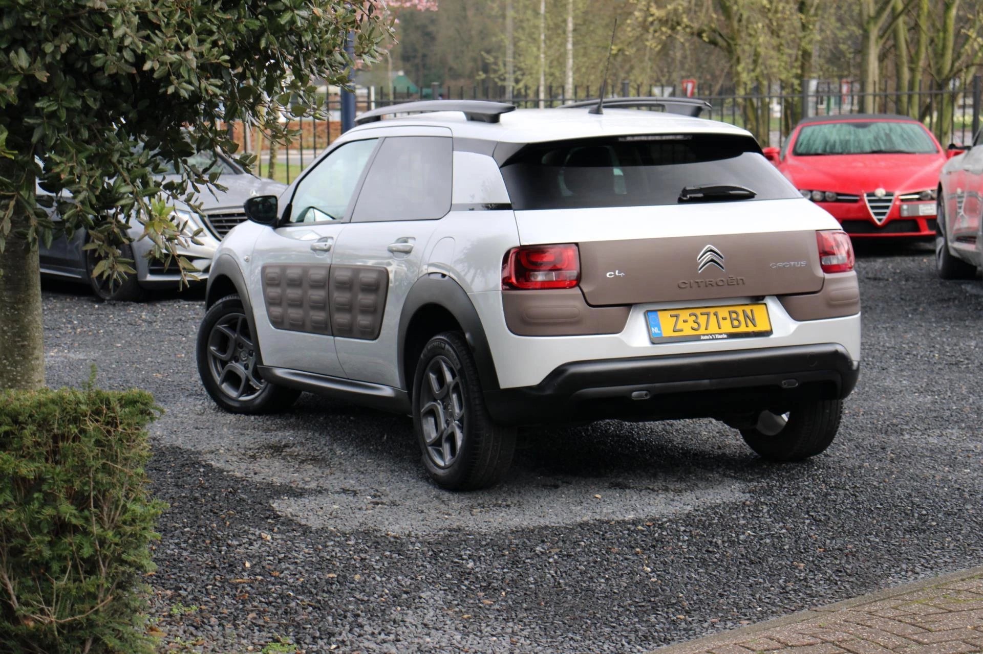 Hoofdafbeelding Citroën C4 Cactus