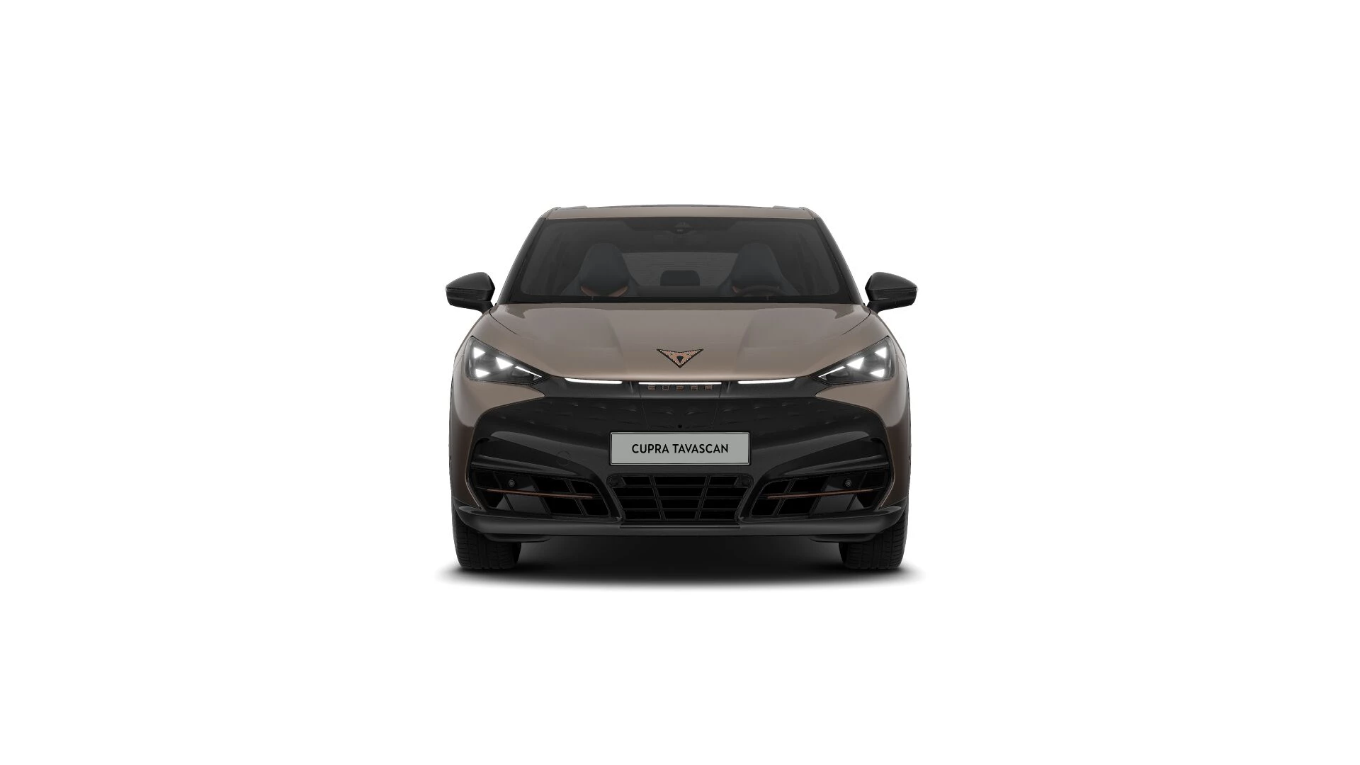 Hoofdafbeelding CUPRA Tavascan