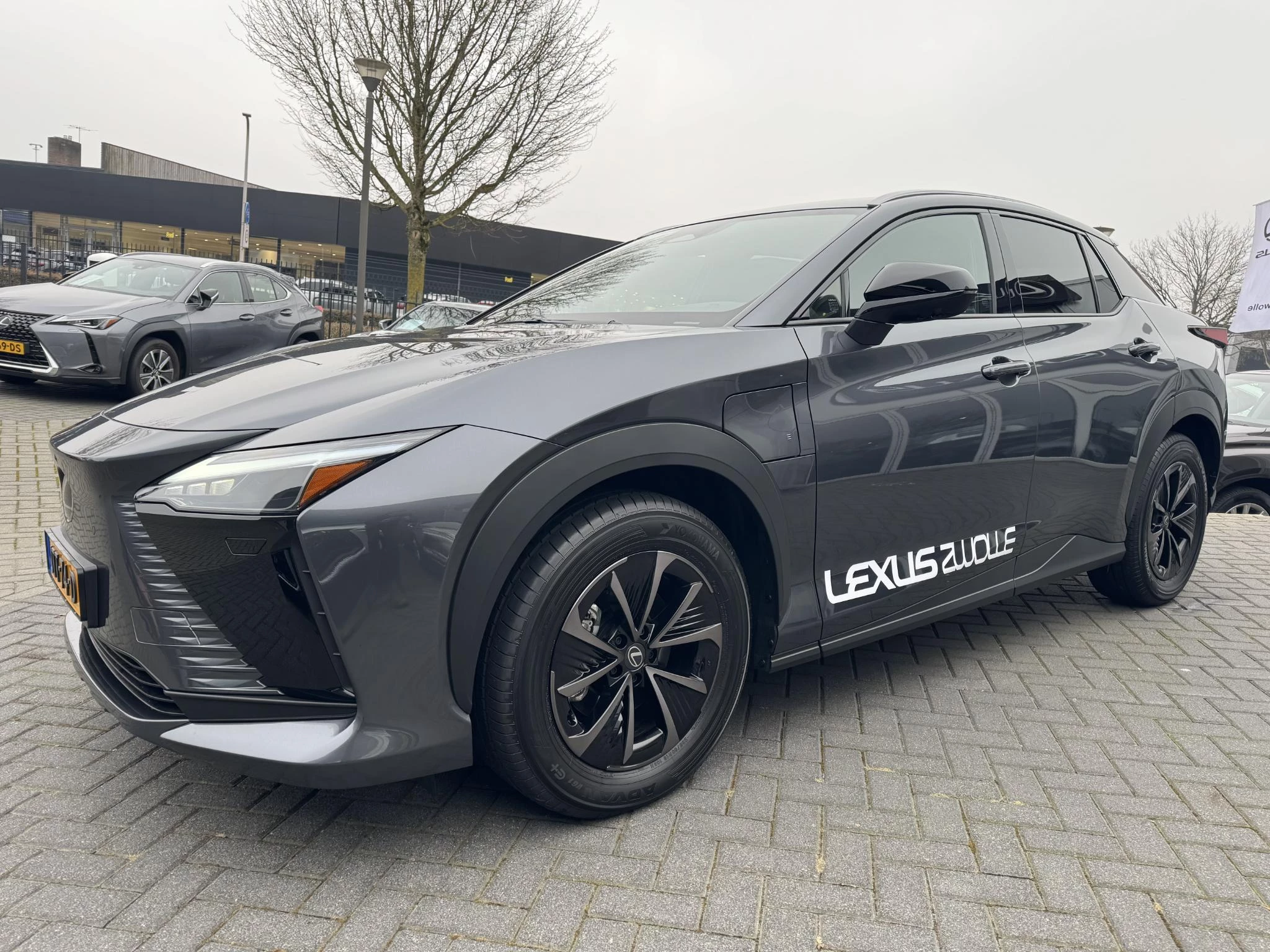 Hoofdafbeelding Lexus RZ
