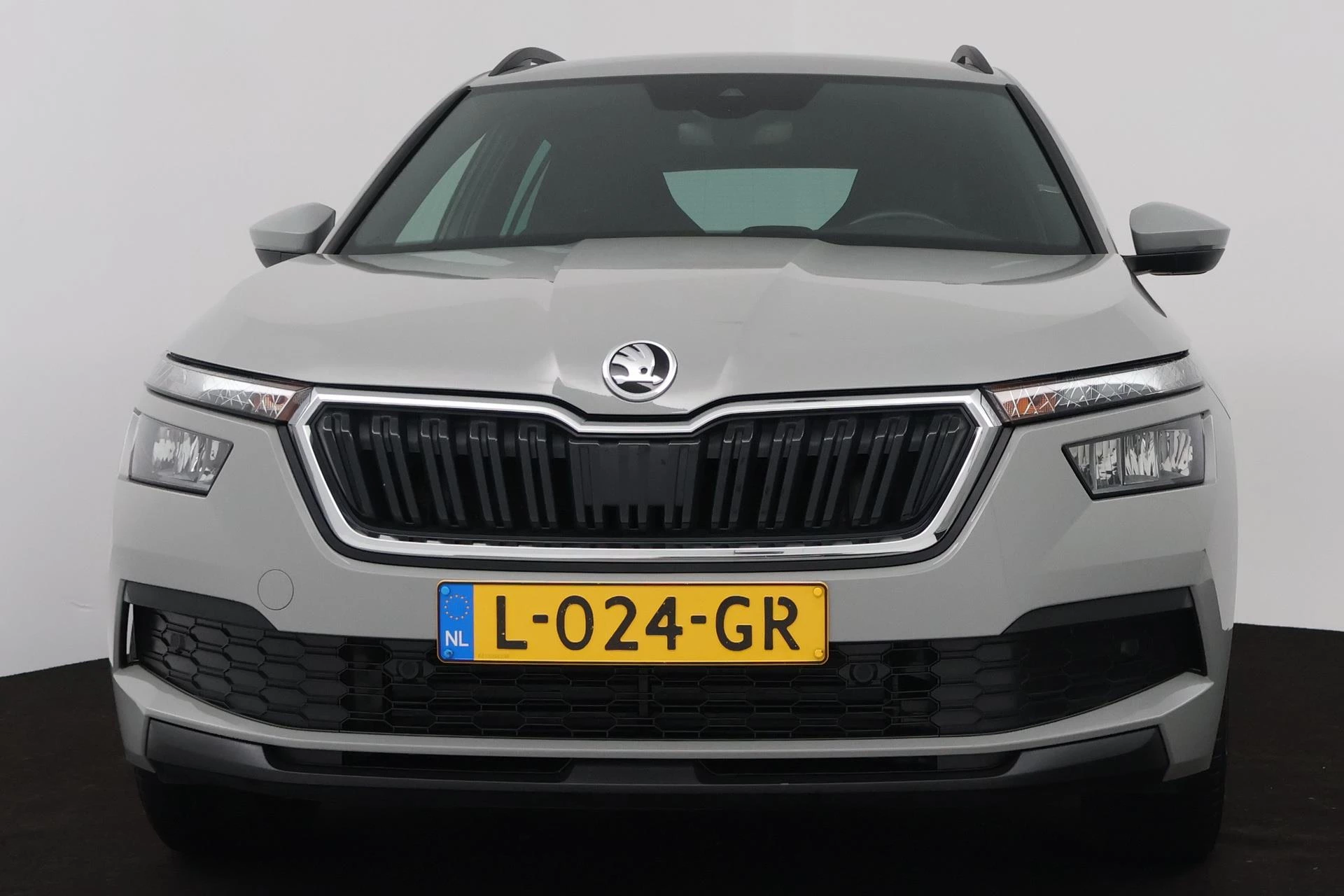 Hoofdafbeelding Škoda Kamiq
