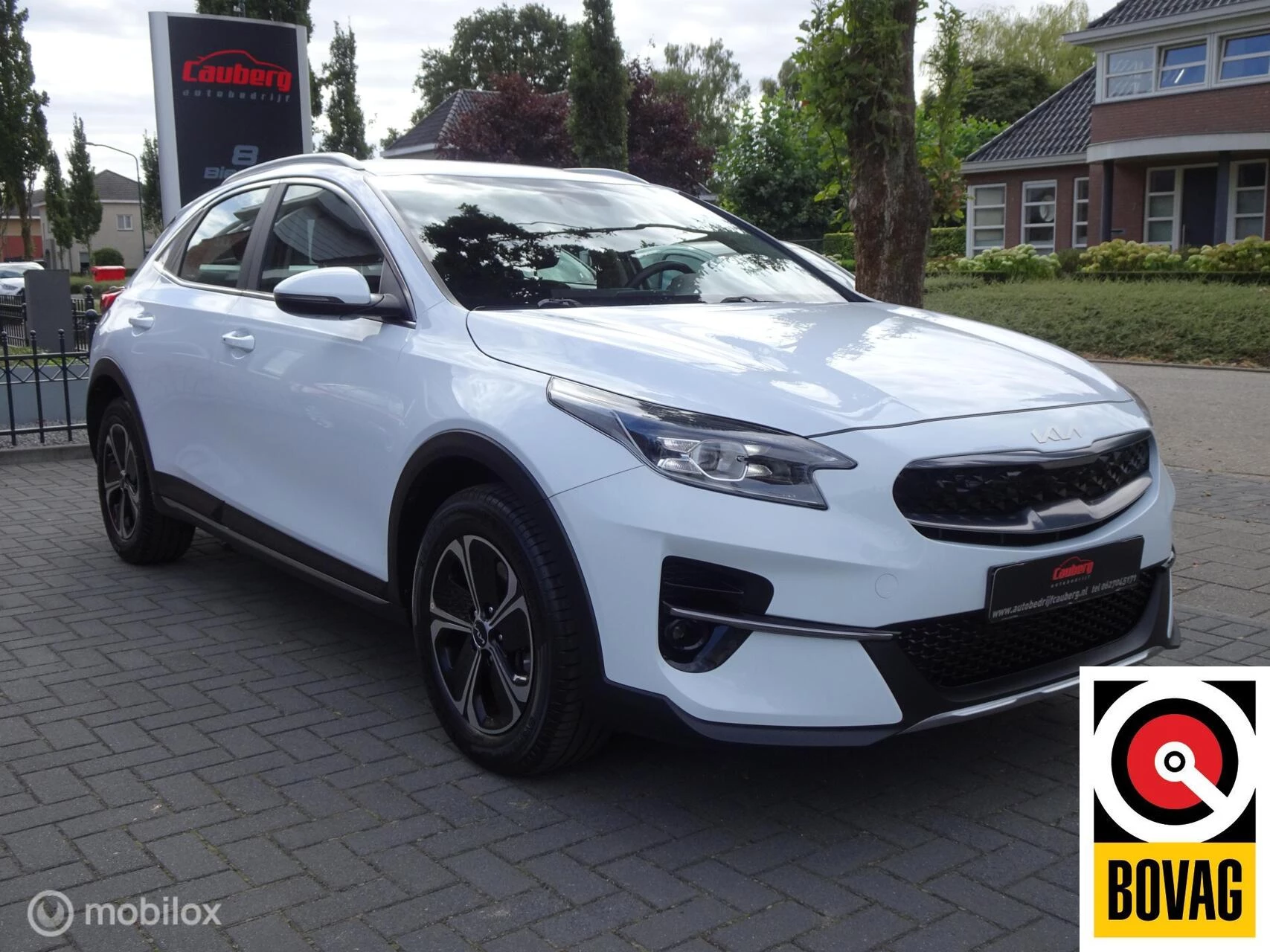 Hoofdafbeelding Kia XCeed