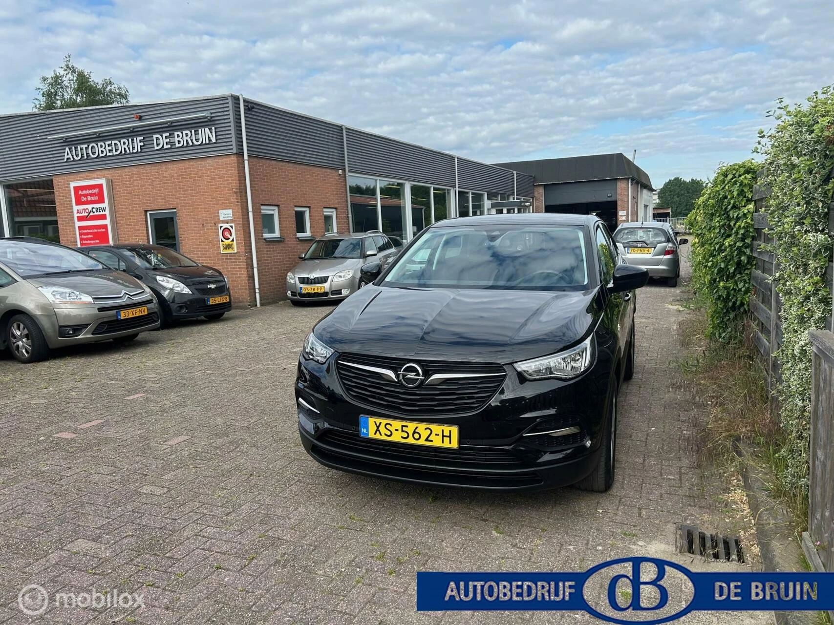 Hoofdafbeelding Opel Grandland X