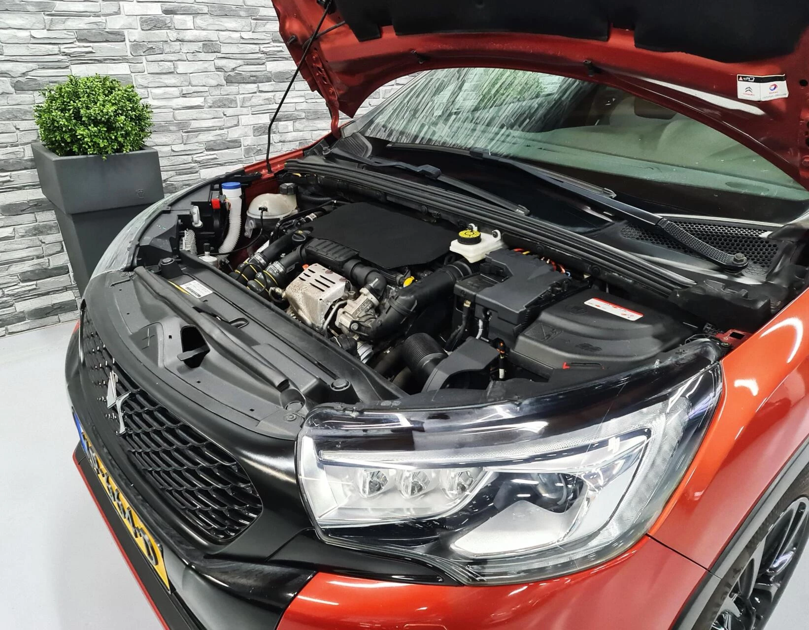 Hoofdafbeelding DS DS 4