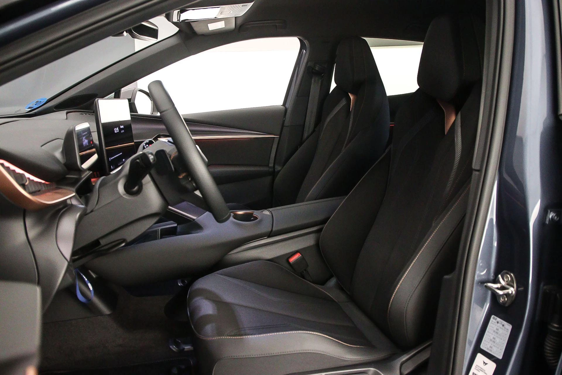 Hoofdafbeelding CUPRA Tavascan