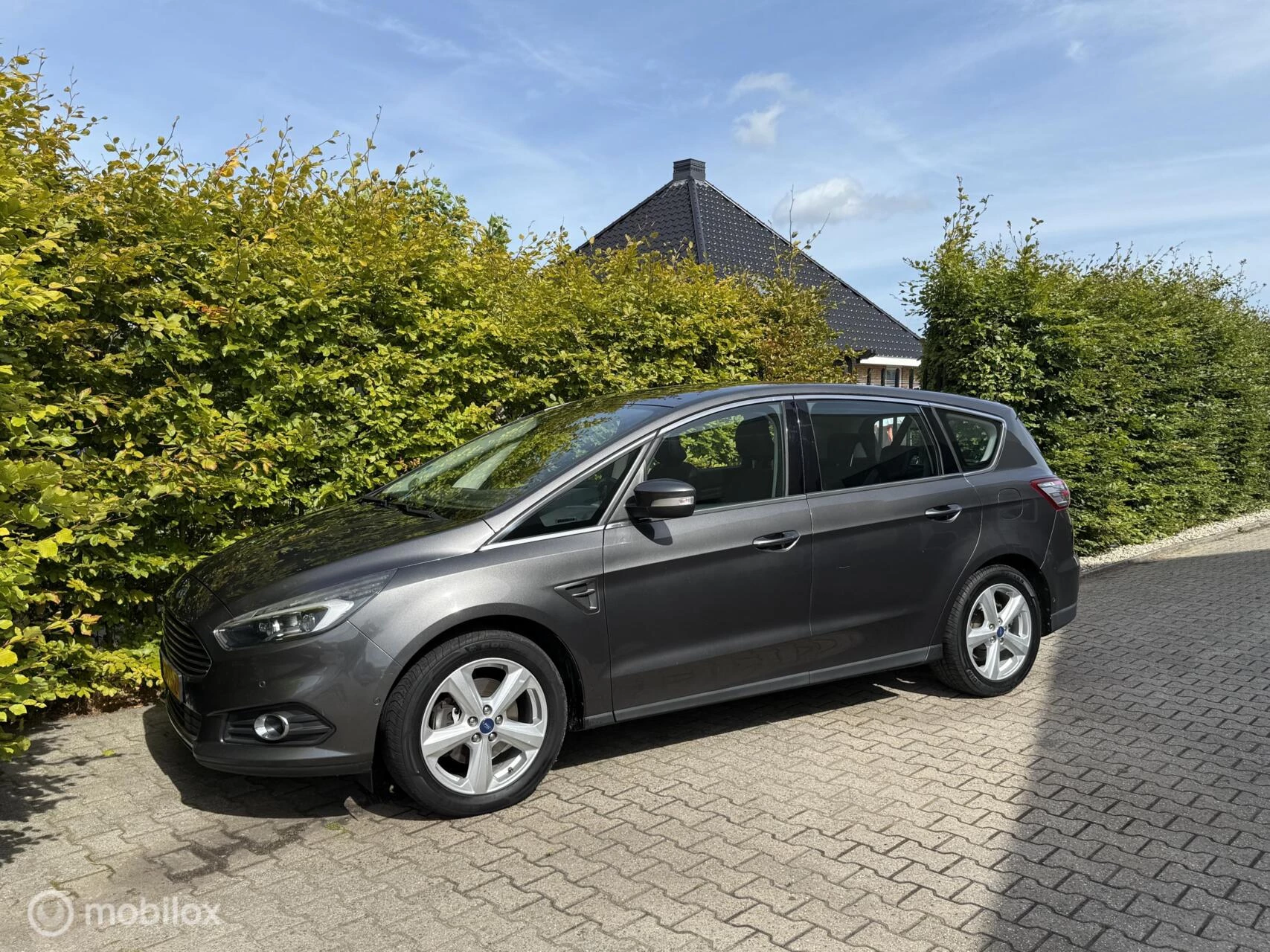 Hoofdafbeelding Ford S-Max
