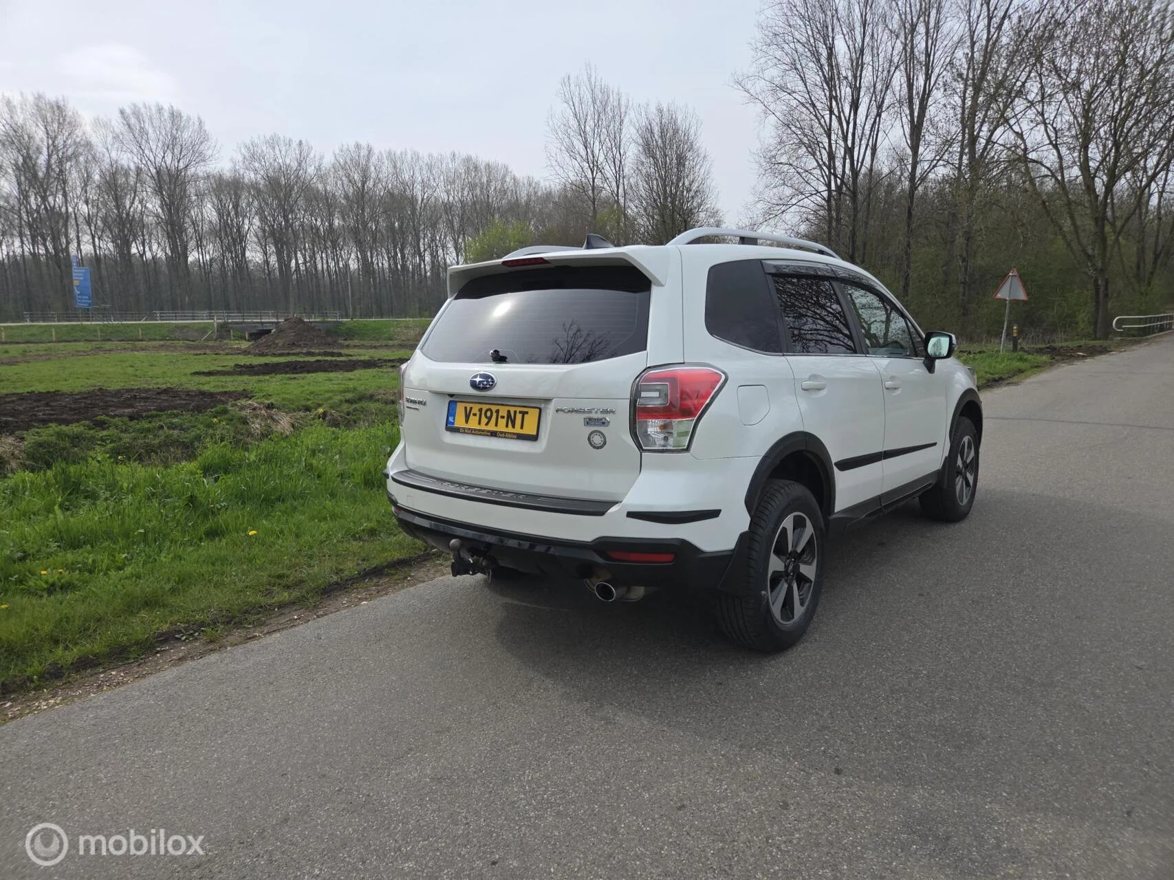 Hoofdafbeelding Subaru Forester