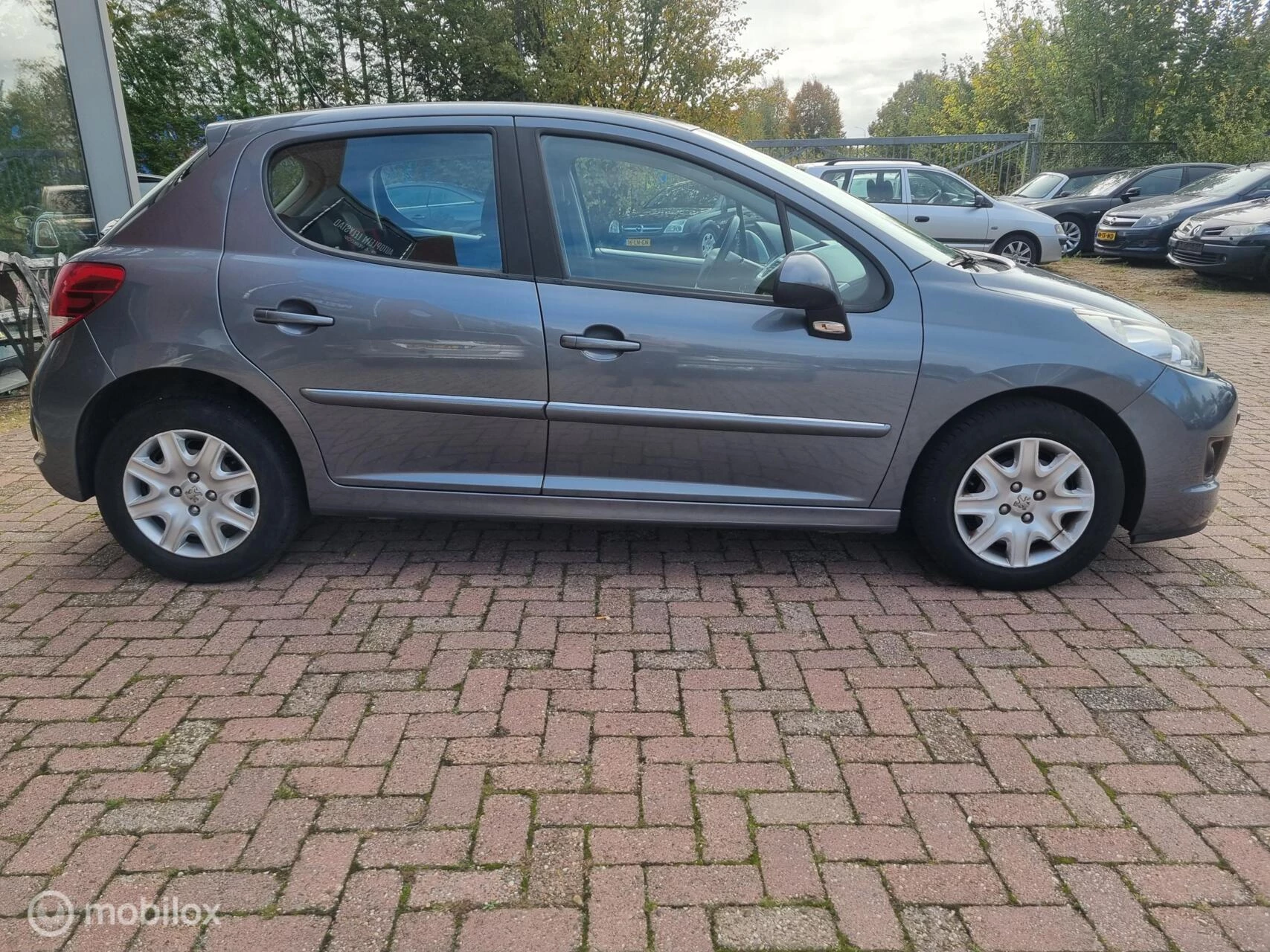 Hoofdafbeelding Peugeot 207