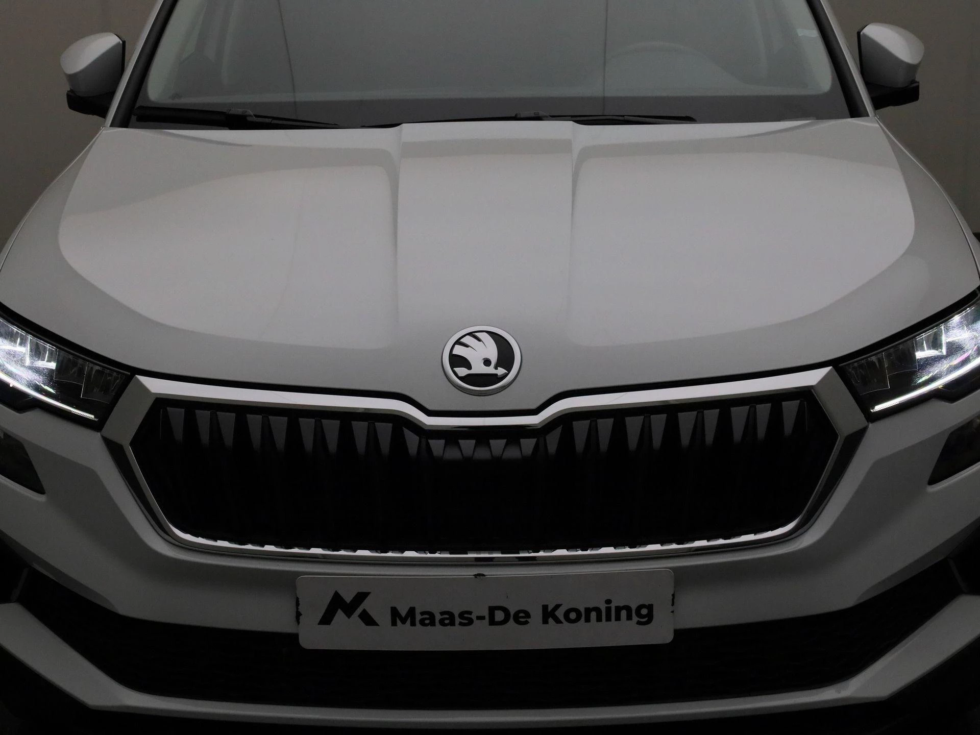 Hoofdafbeelding Škoda Karoq
