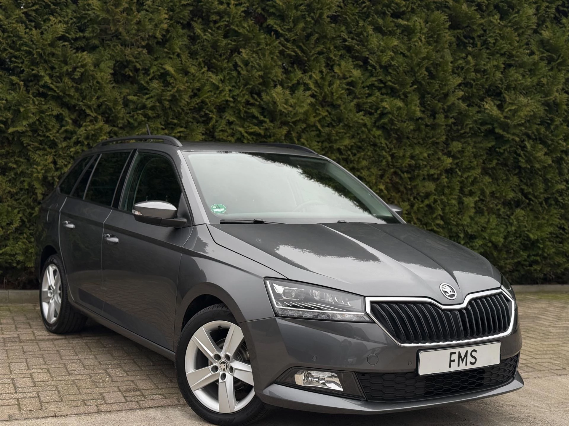 Hoofdafbeelding Škoda Fabia