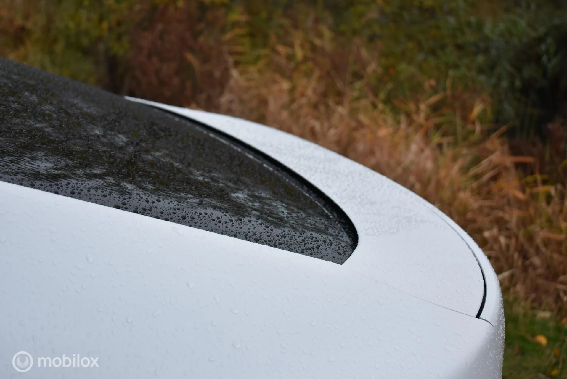 Hoofdafbeelding BMW 6 Serie