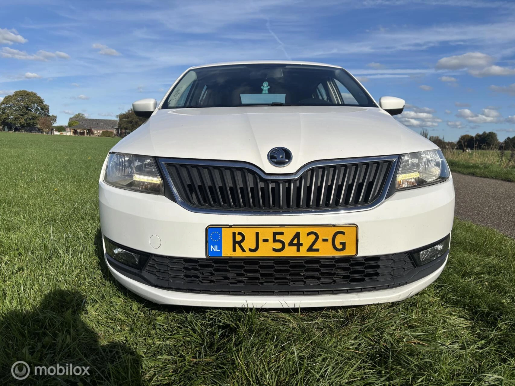 Hoofdafbeelding Škoda Rapid