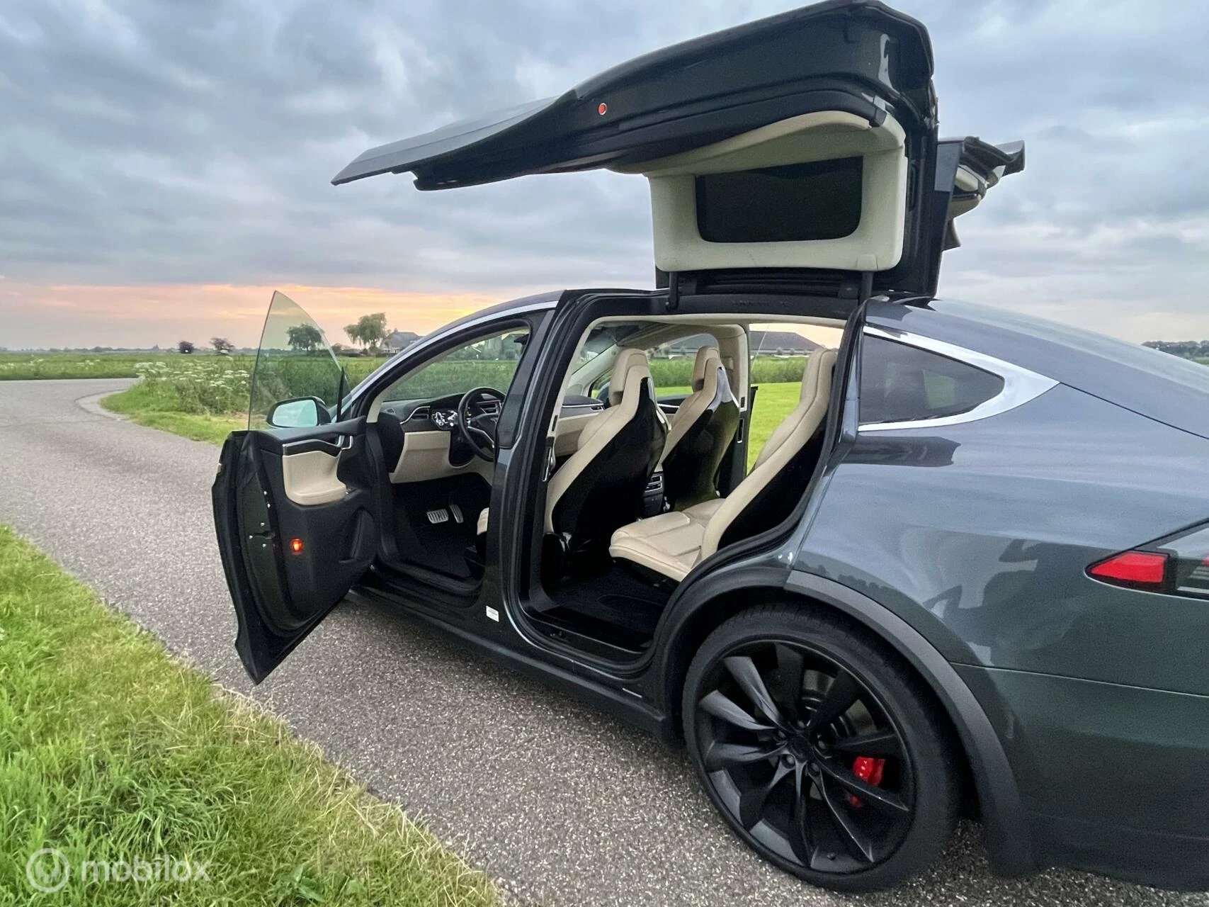 Hoofdafbeelding Tesla Model X