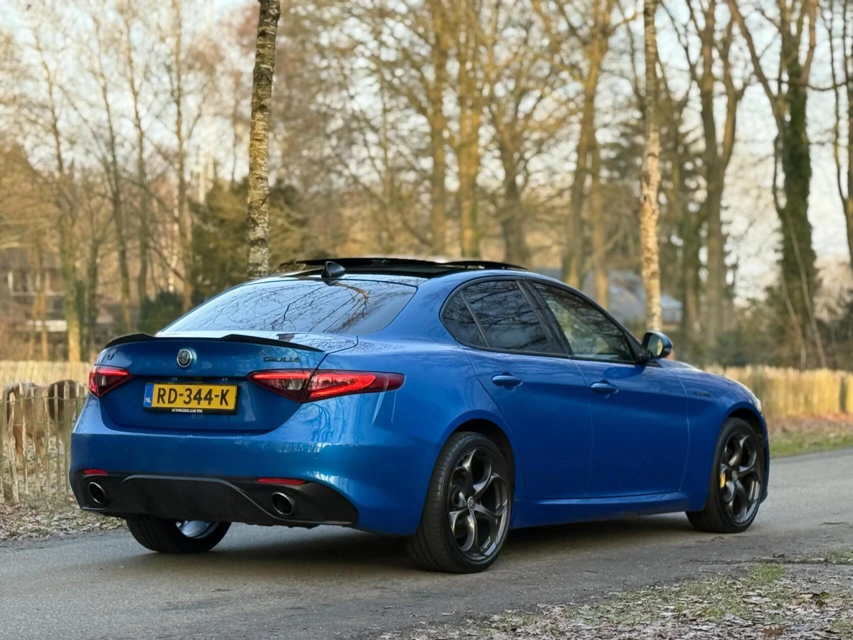 Hoofdafbeelding Alfa Romeo Giulia