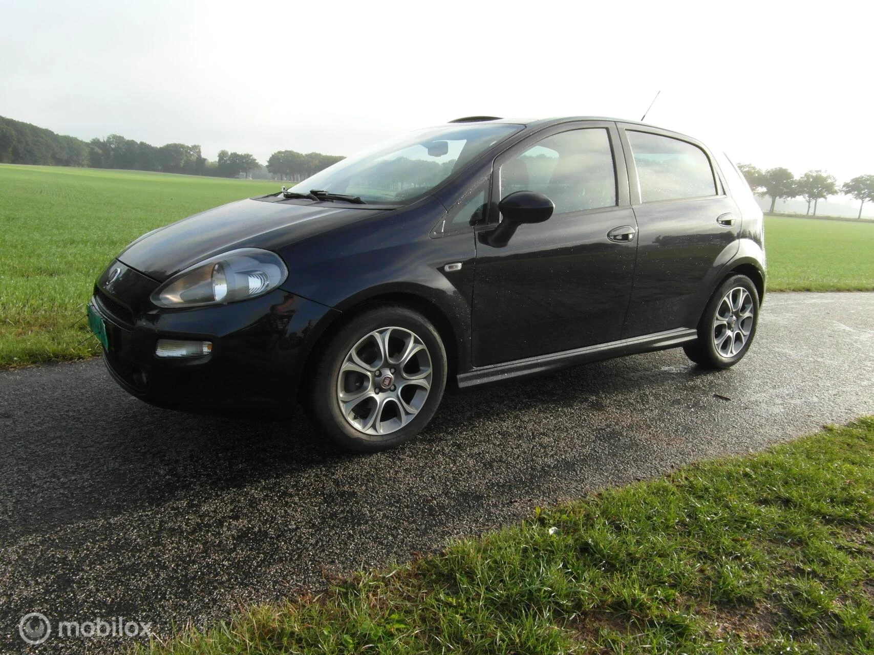 Hoofdafbeelding Fiat Punto