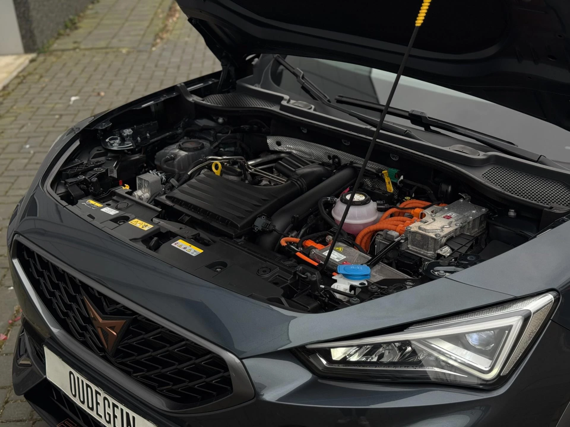 Hoofdafbeelding CUPRA Formentor