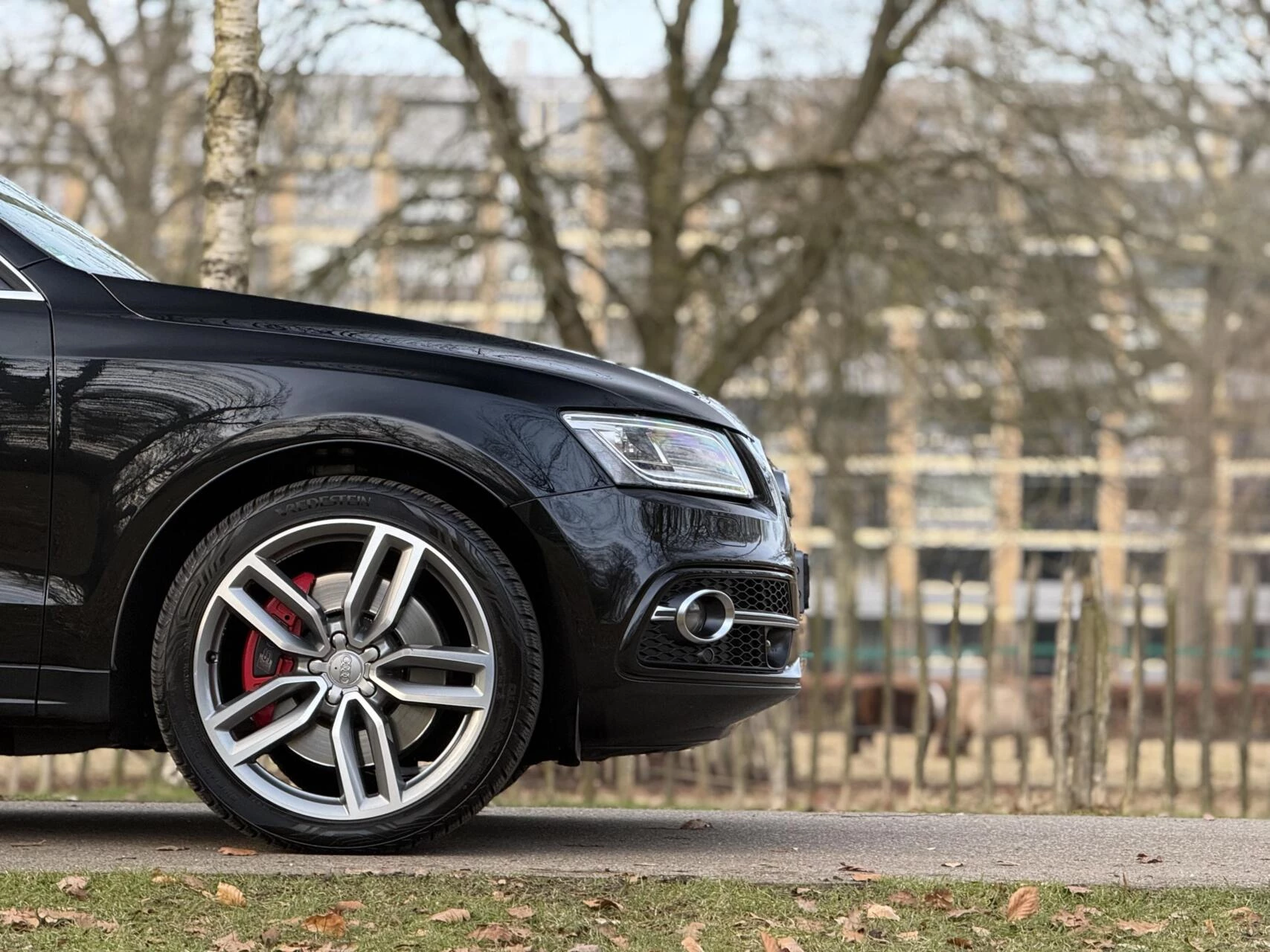 Hoofdafbeelding Audi SQ5
